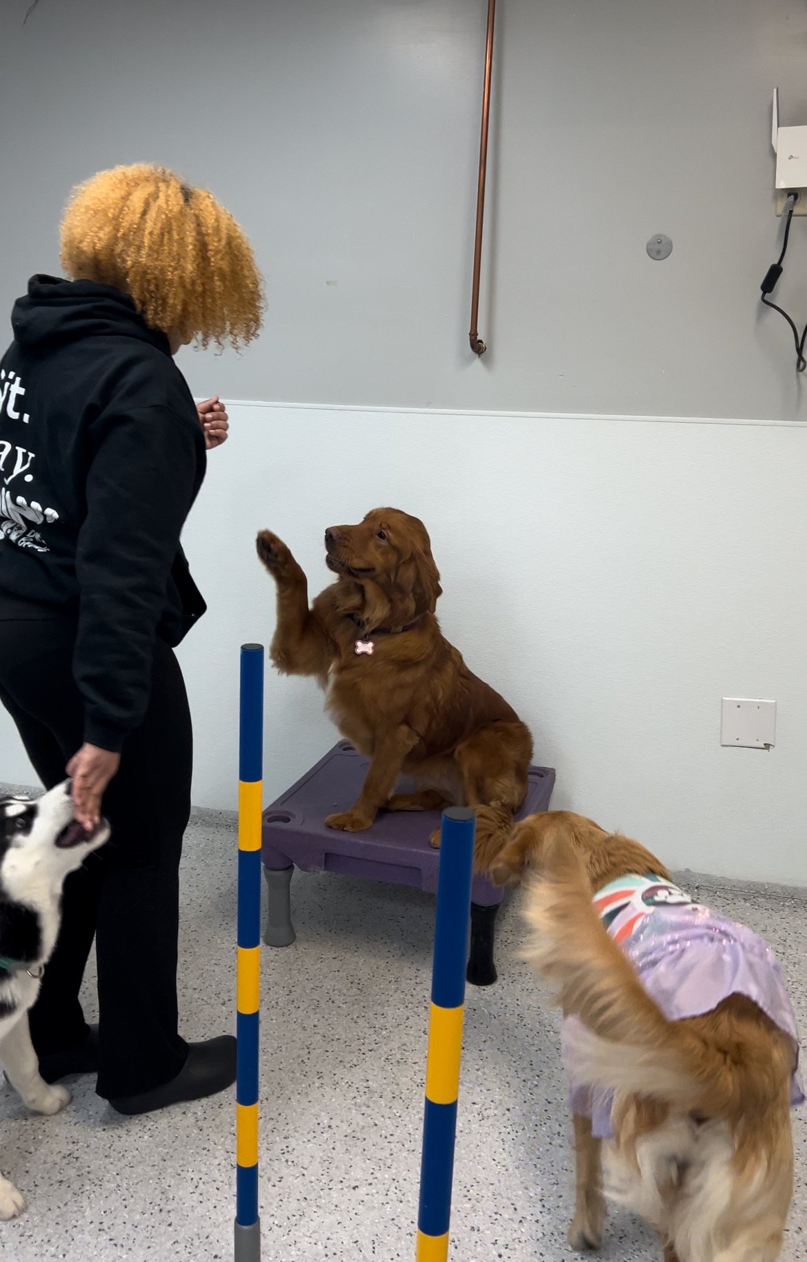 Trick of the Month with Reyna