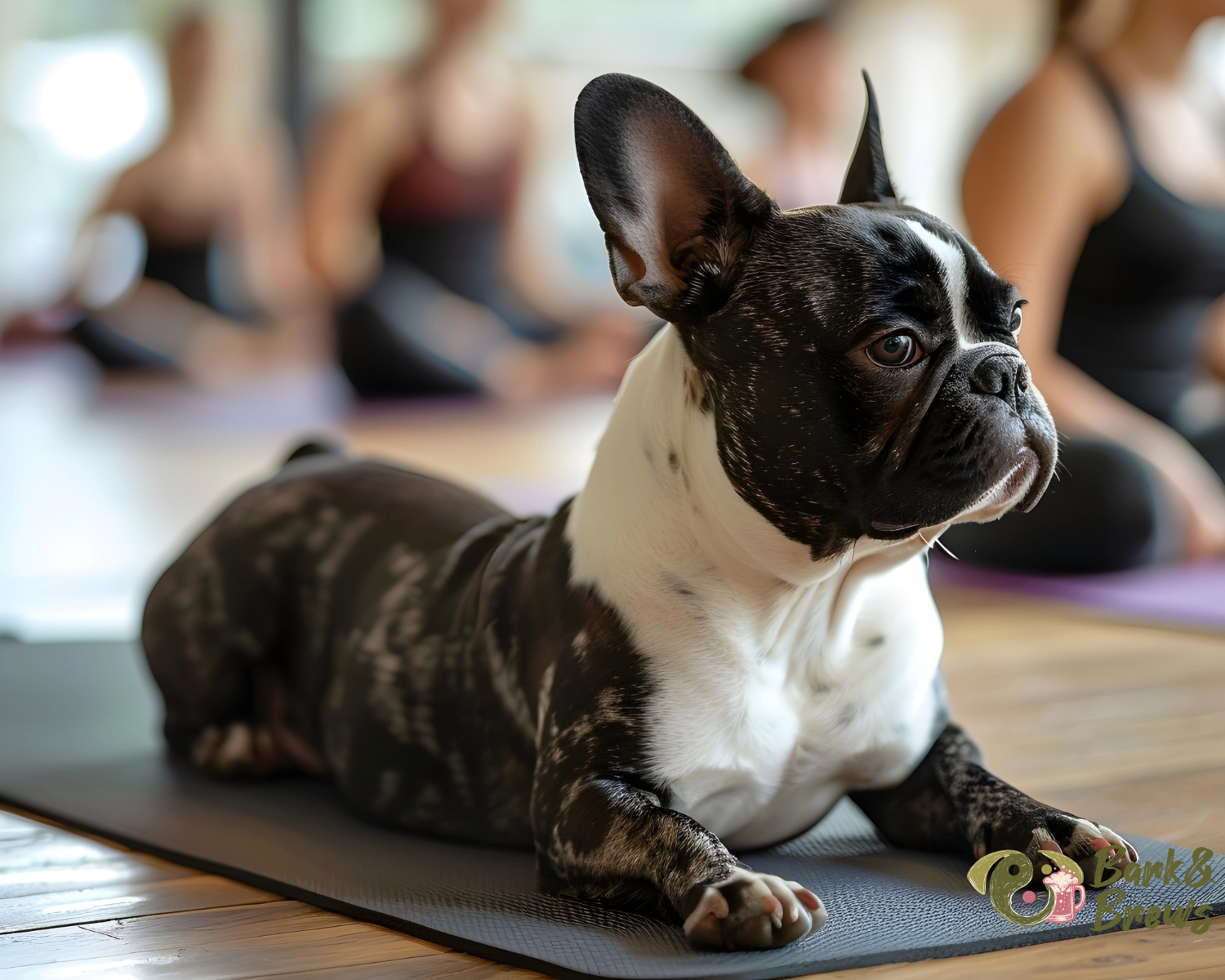 Puppy Yoga w/ Paw Pals Litter