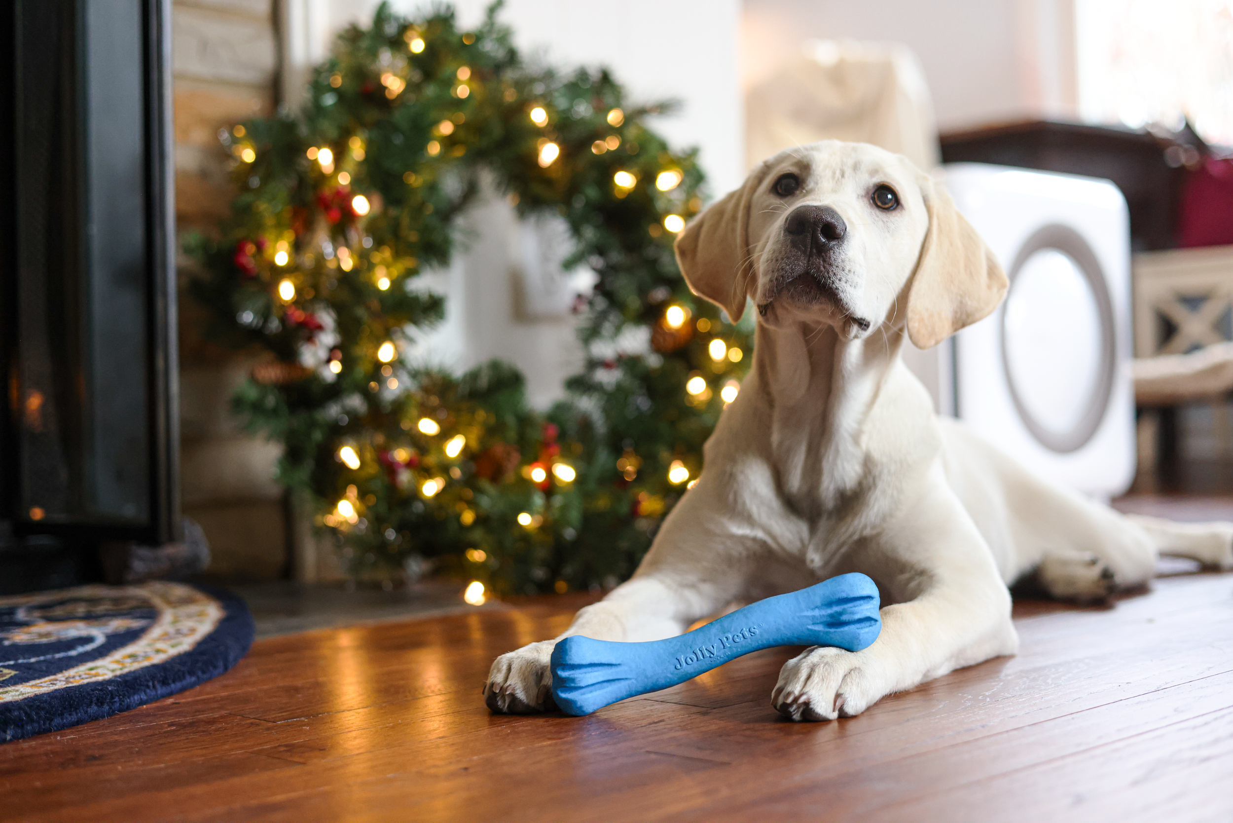 JollyBone_Holiday_200_1 resize (1).png