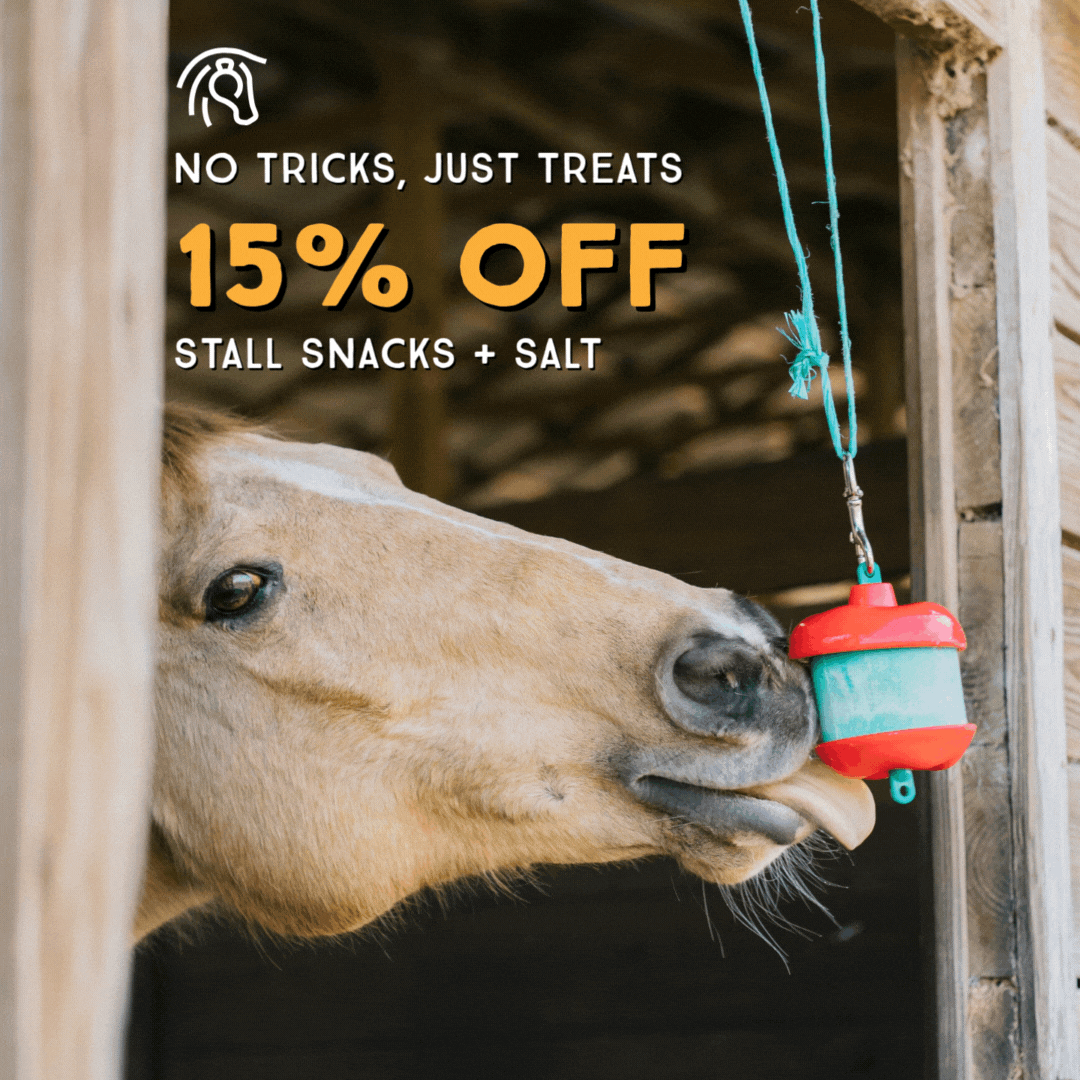 No Tricks, Just Treats-1_1080x1080_graphic MP4.gif