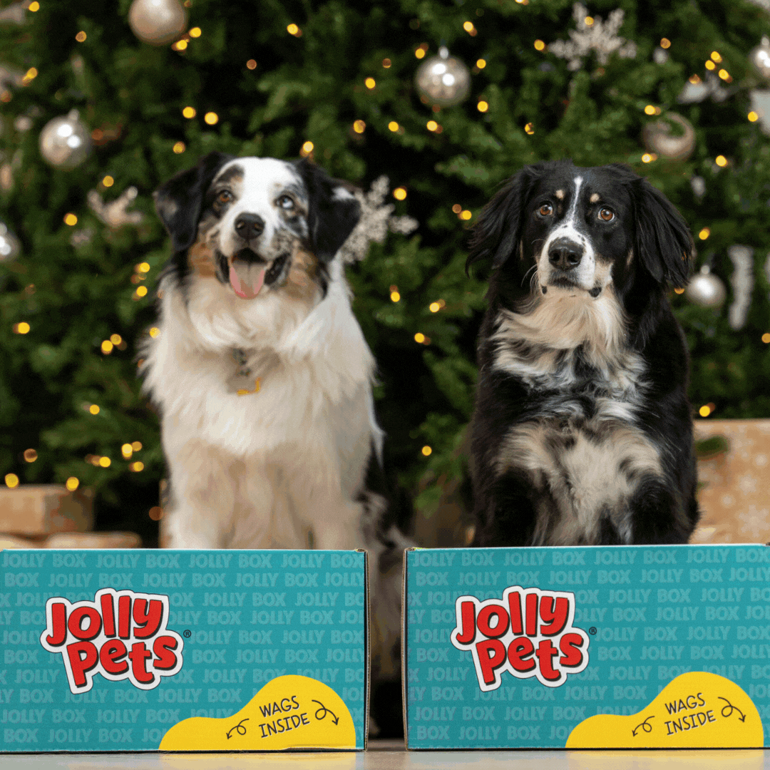 Winter Jolly Box-3_1080x1080_MP4.gif