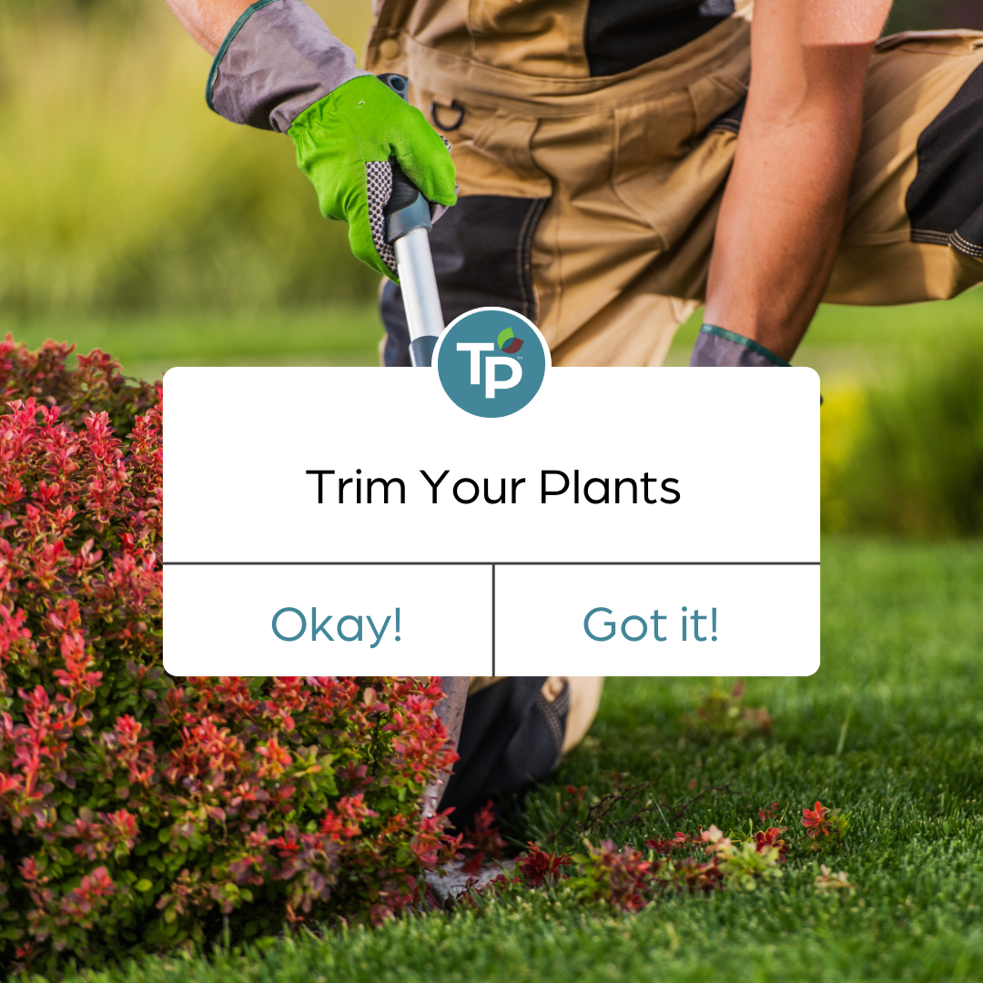 TP Reminder - 9.9.24.png