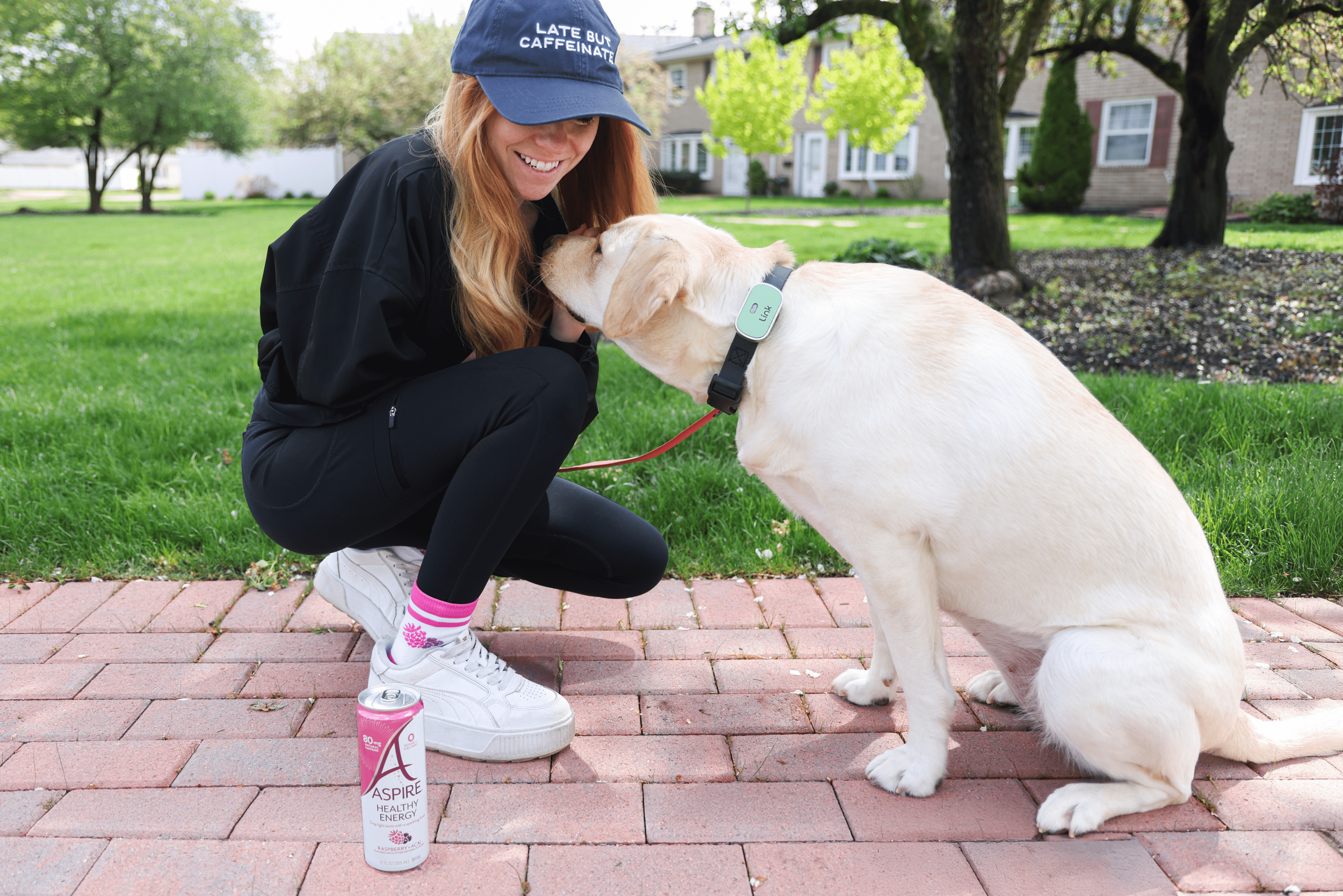 dog moms day - Aspire and Link resize.png