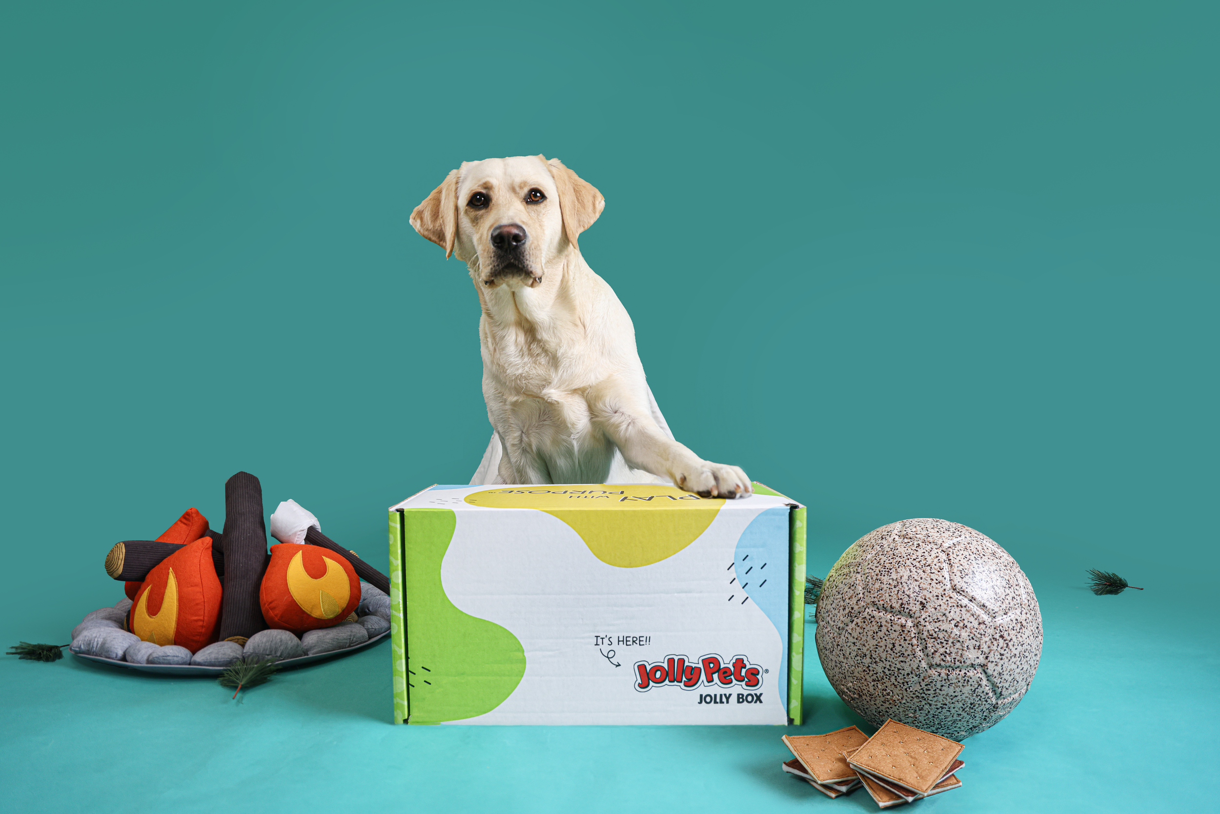 fallbox_1_full res (1) (2).png