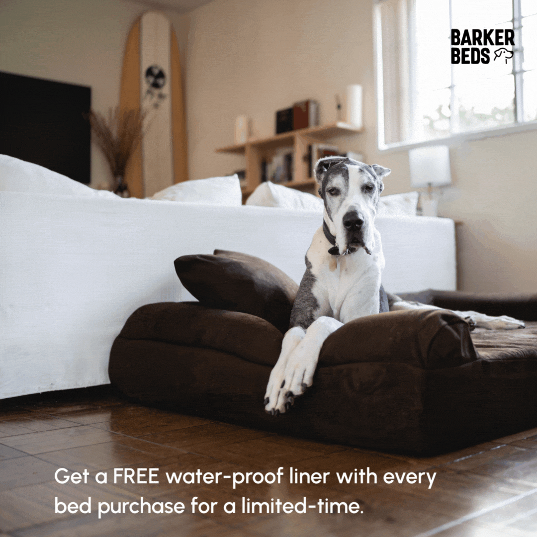 Free Liner w Purchase-1_square_graphic MP4.gif