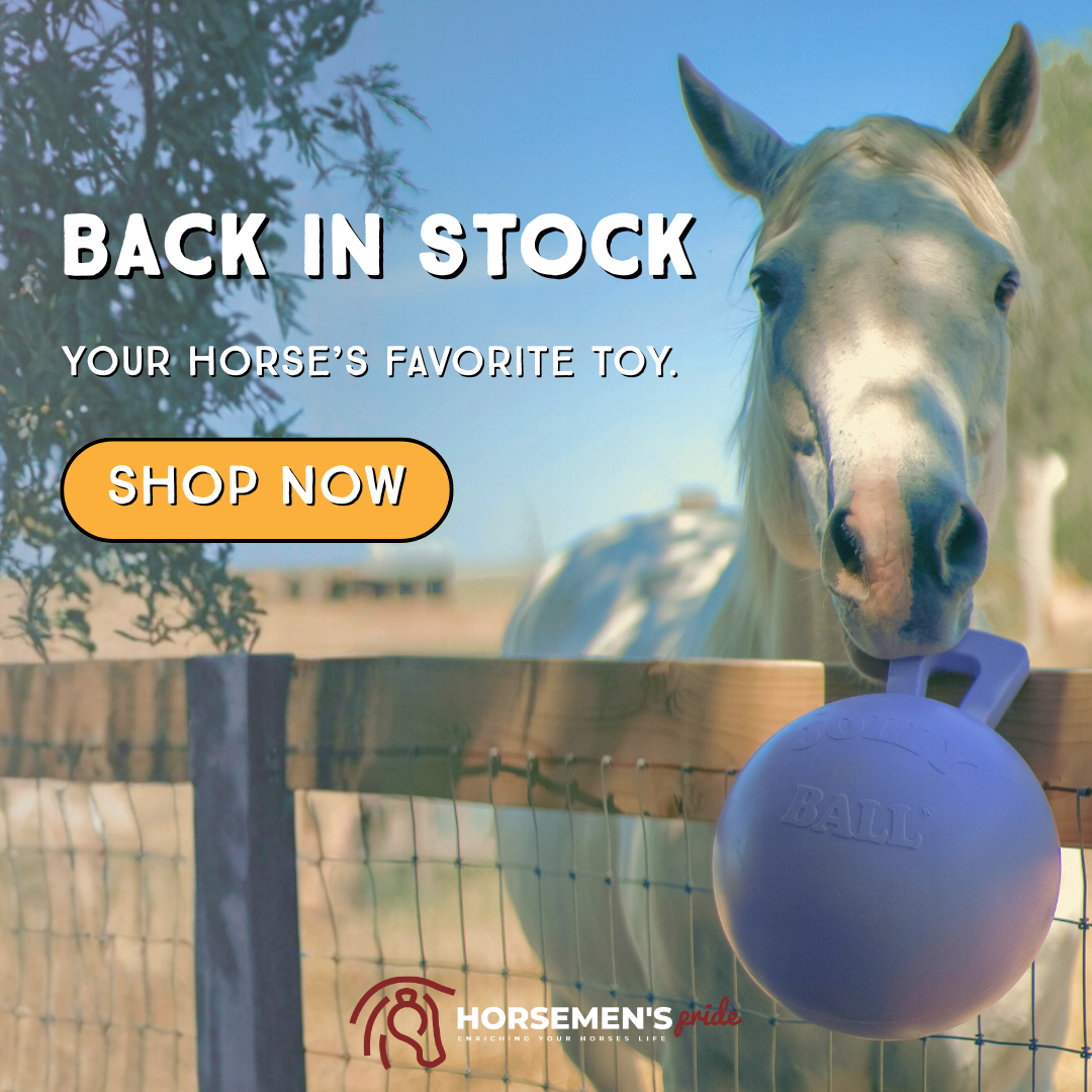 HP_BOF Back in Stock_graphic MP4.png