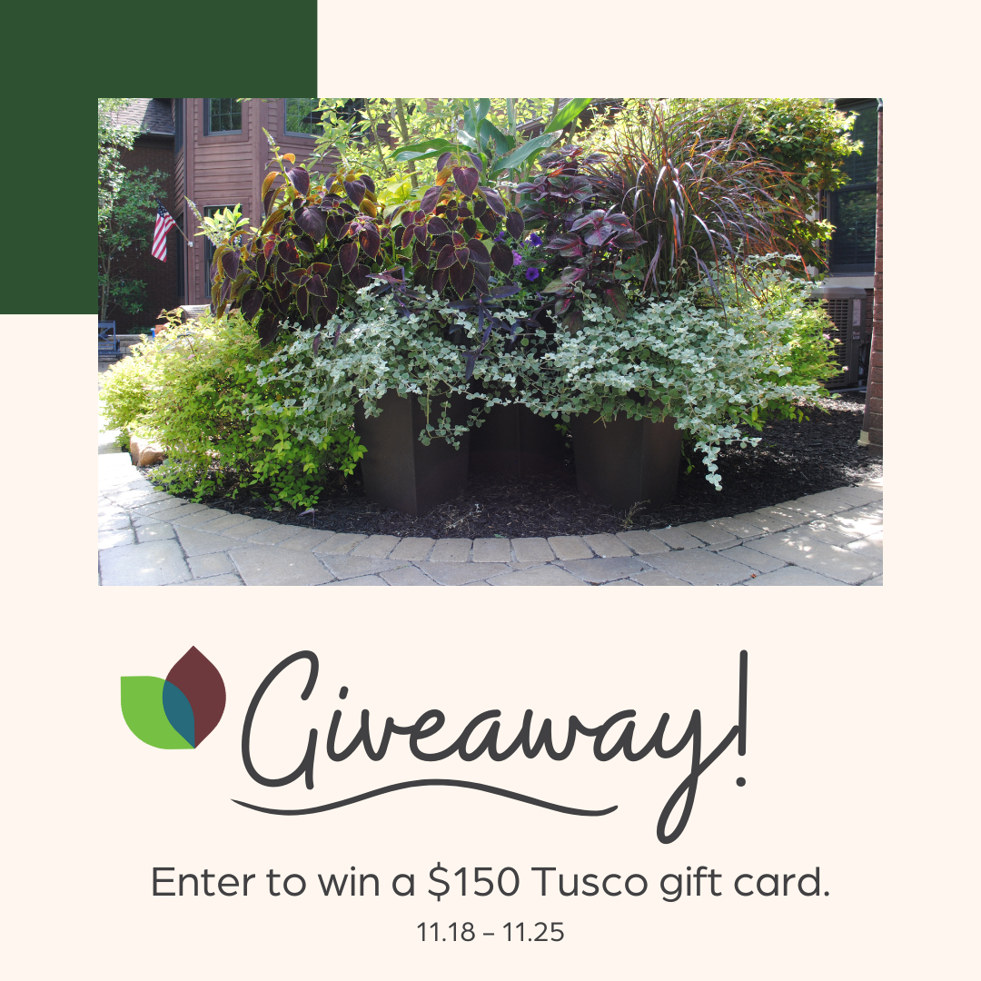 11.18 - TP Giveaway.png