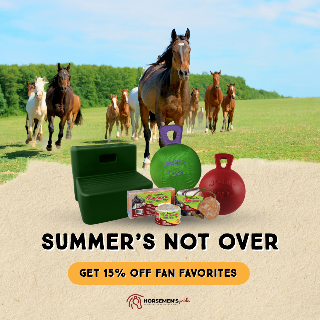 Summers Not Over-2_1x1.png