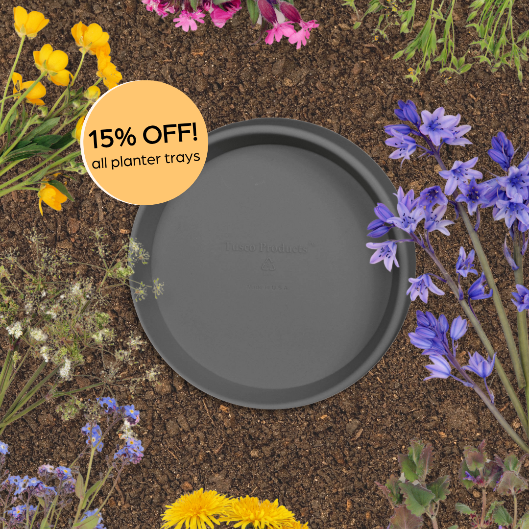 Flash Tray Sale-1_1x1_static graphic.png