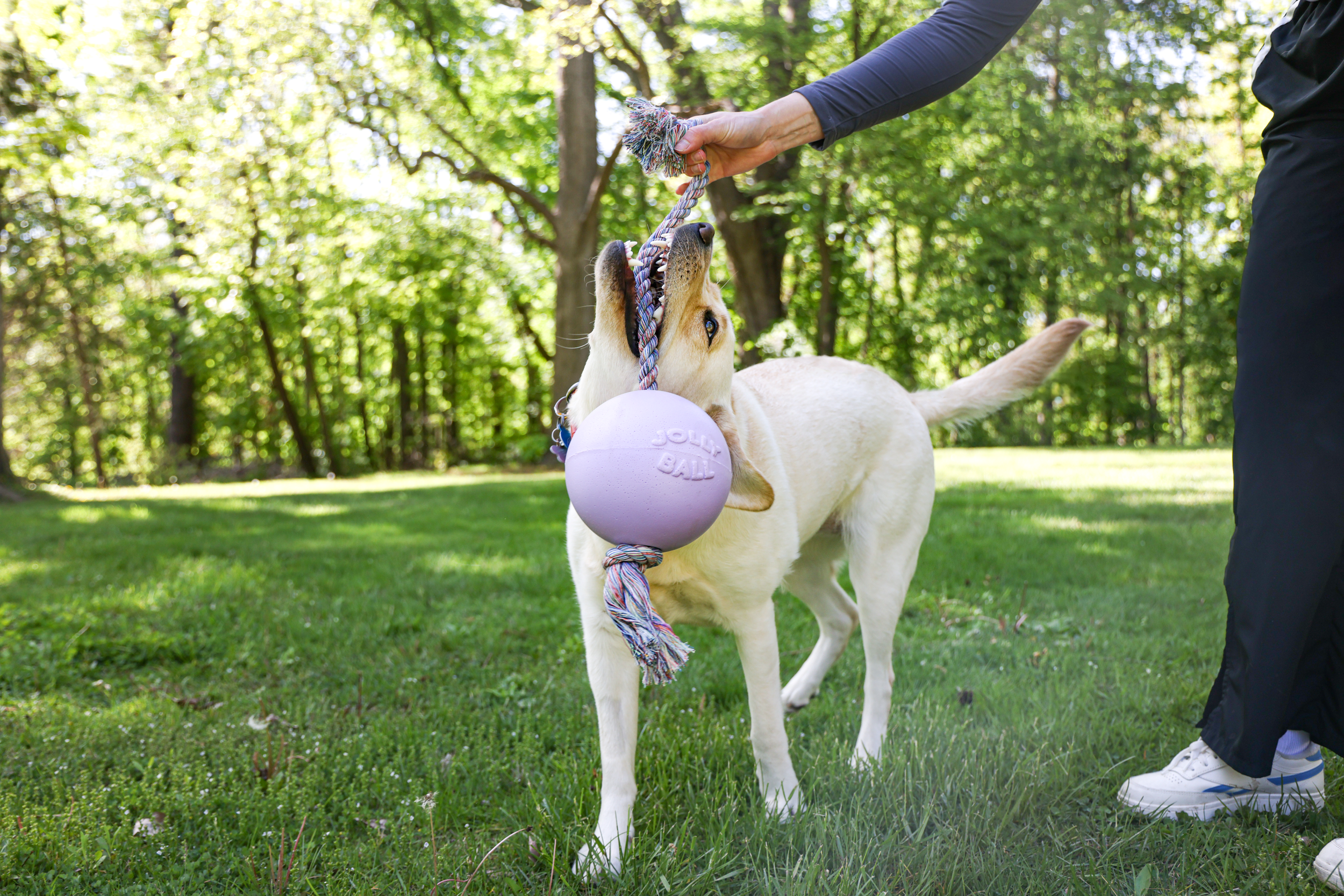 JollyPets_LT PRP 606_2 (1).png