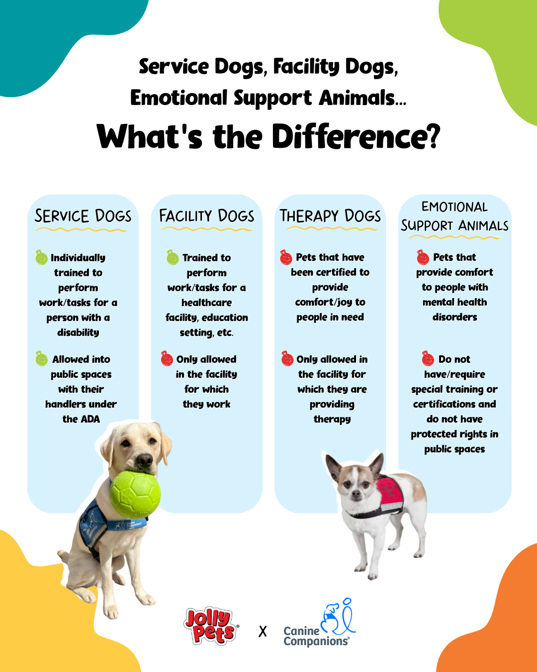 JP Learn the Difference-NSDM.png