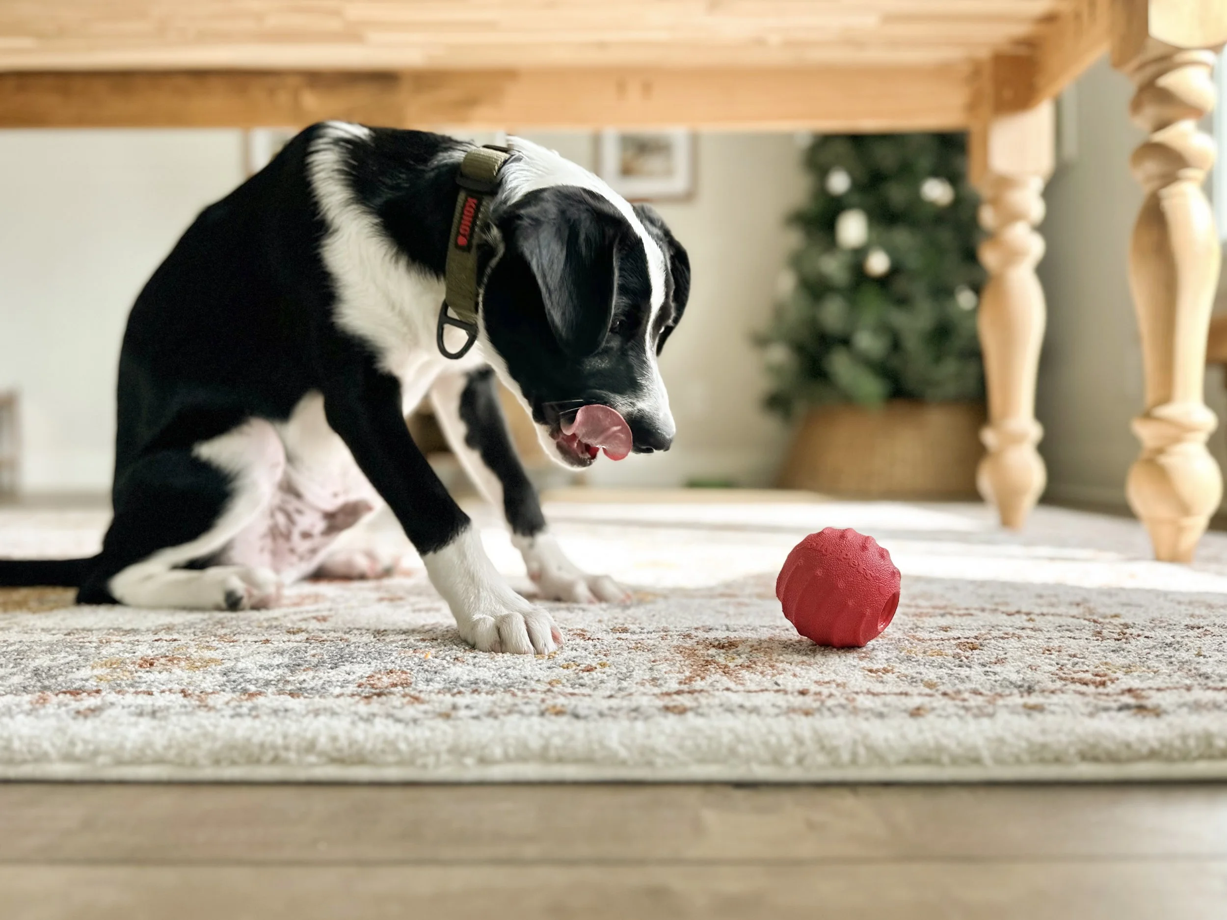 8EBA16C1-C613-438C-8734-6DFBF6080E1B (2).jpg