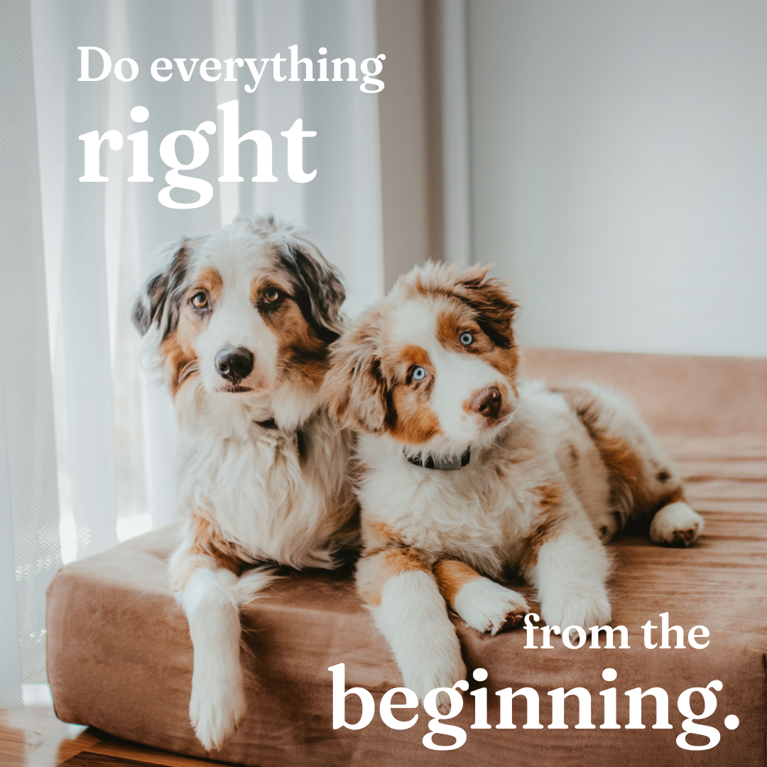 BB Awareness-1_1080x1080_graphic.png