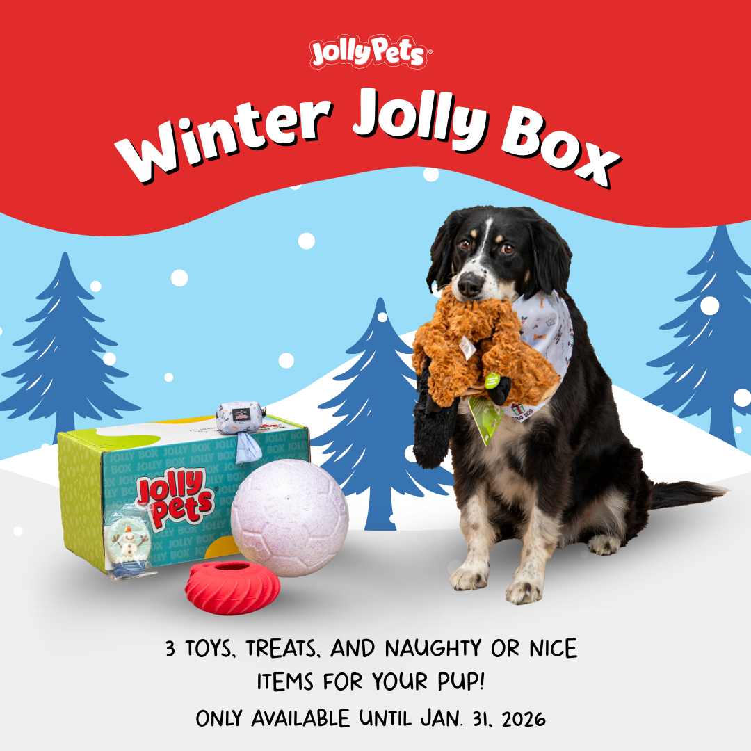 Winter Jolly Box Feature_1080x1080.png