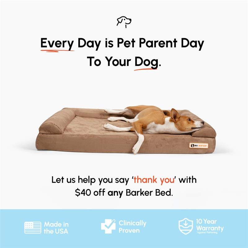 40 Off Pet Parent Day-2_square_graphic MP4 .png