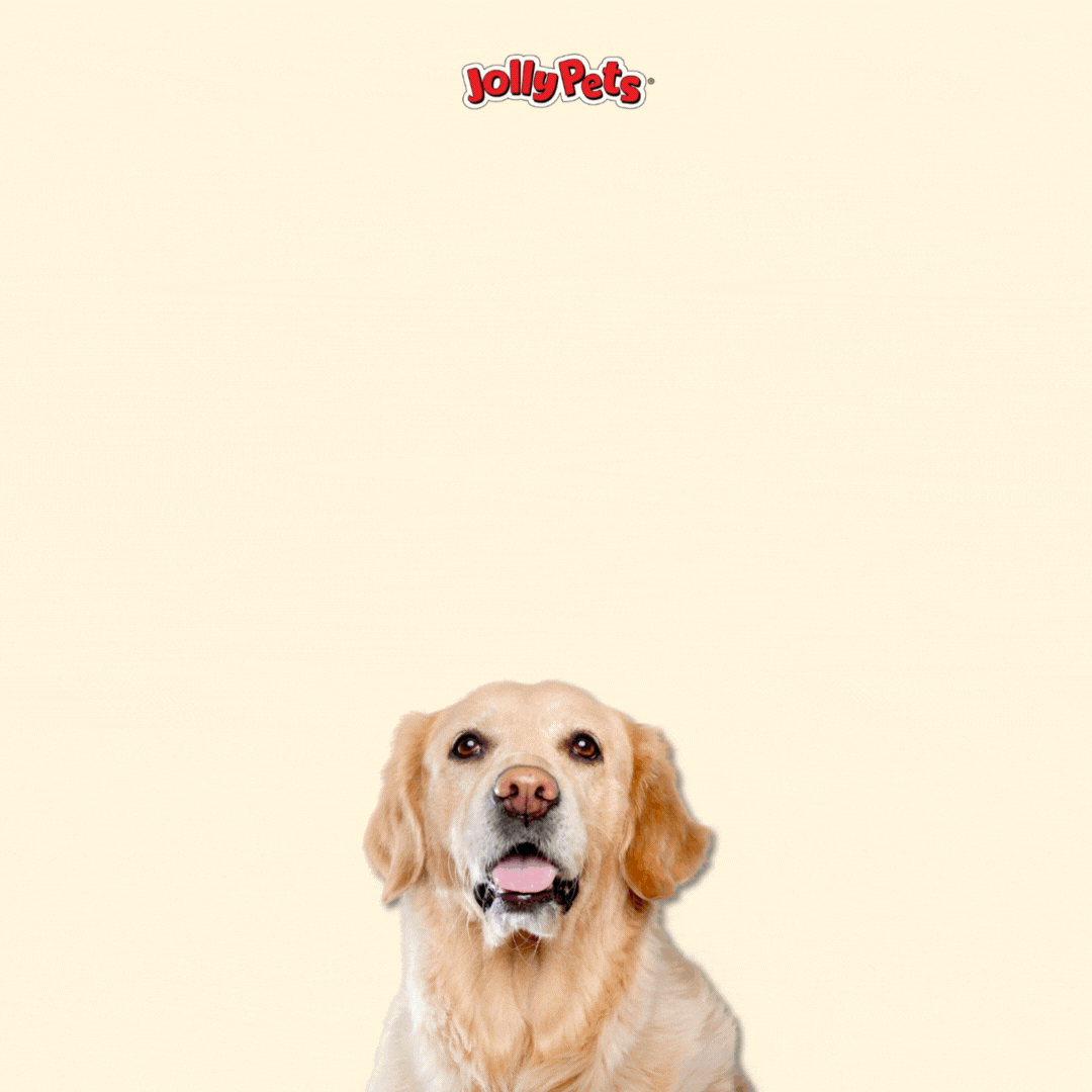 Copy of New Scents-USA Made Sale-3_square_single graphic MP4.gif