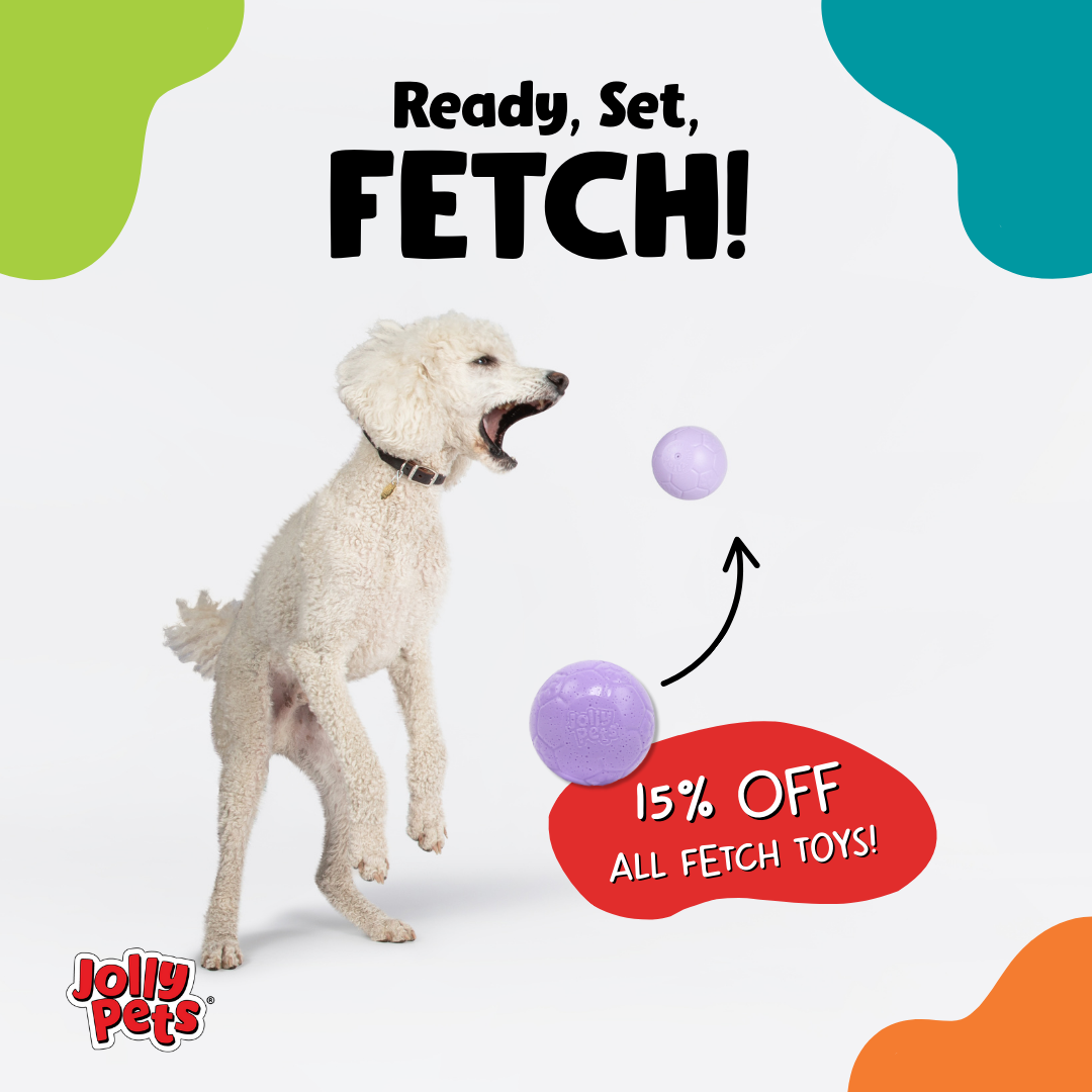 Fetch Sale-1_1080x1080_graphic MP4.png