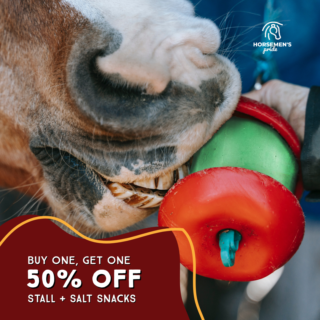 Summer Snackings-1_square_static graphic.png