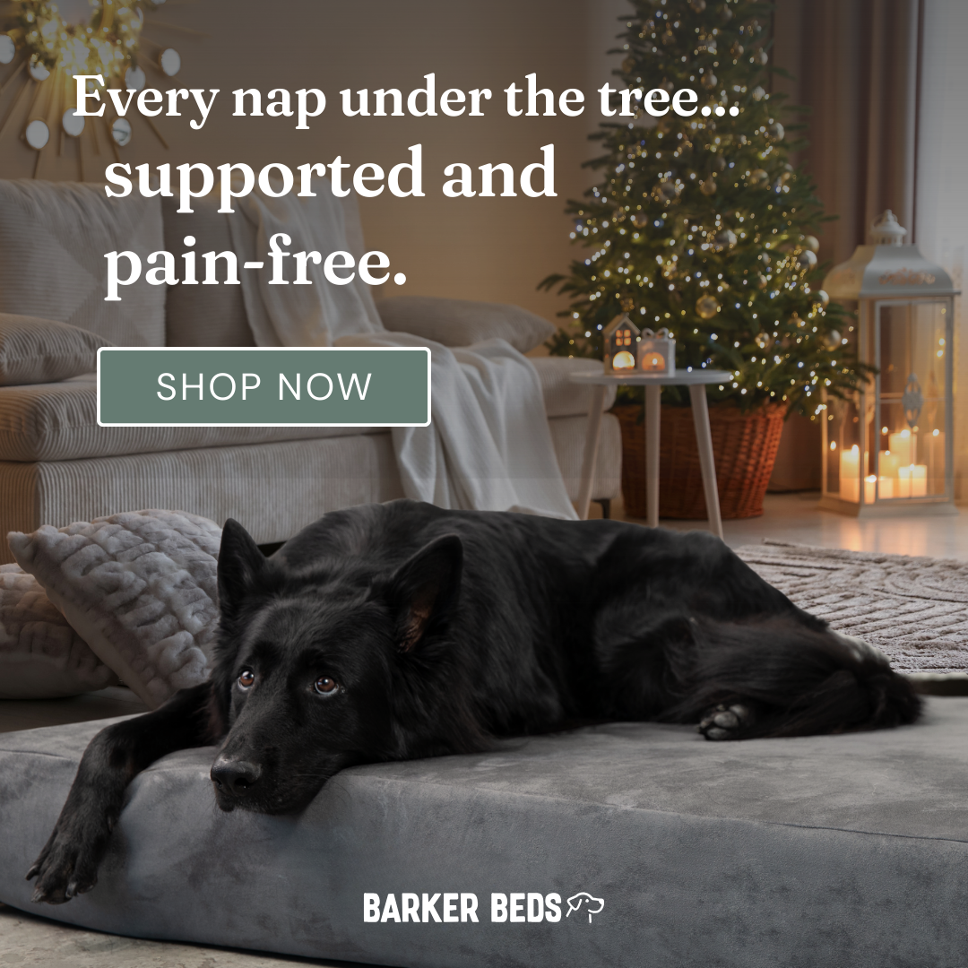 Holidays-1_1x1_static graphic.png