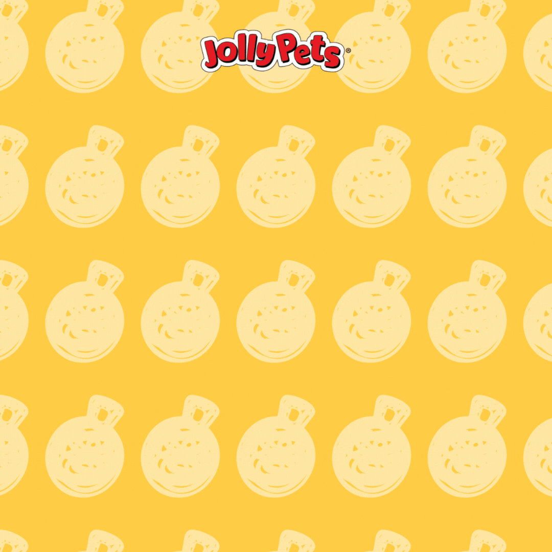 JP Top 10-2_1080x1080_mp4.gif