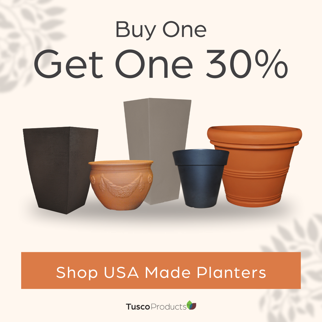 BOGO 30 Summer-1_square_static graphic.png