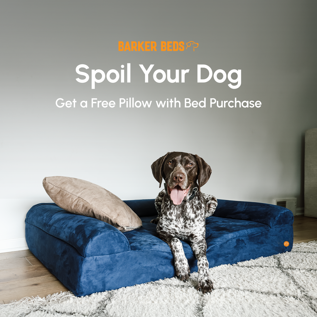 Spoil Your Dog Day-1_square_graphic MP4.png