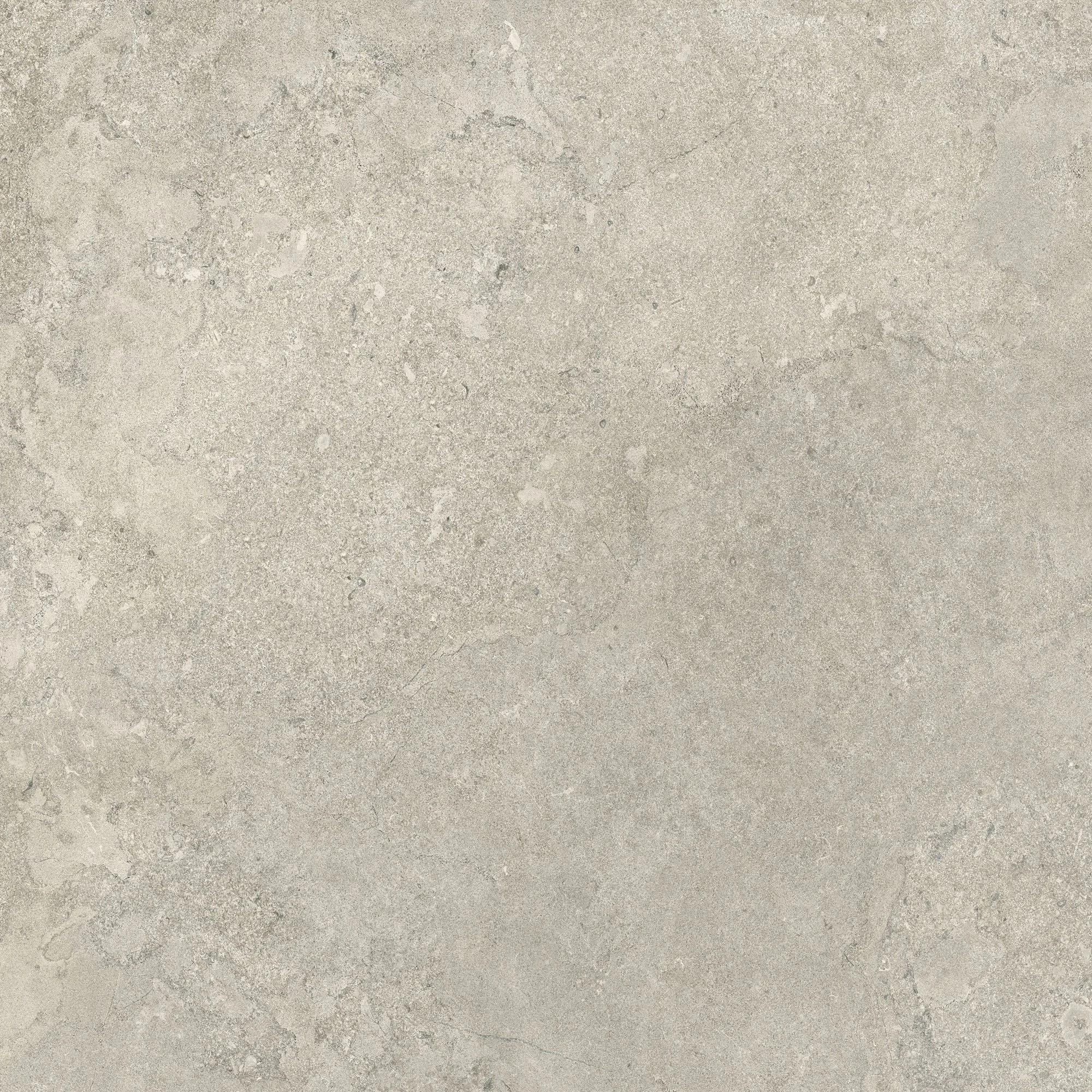 ATELIER TAUPE