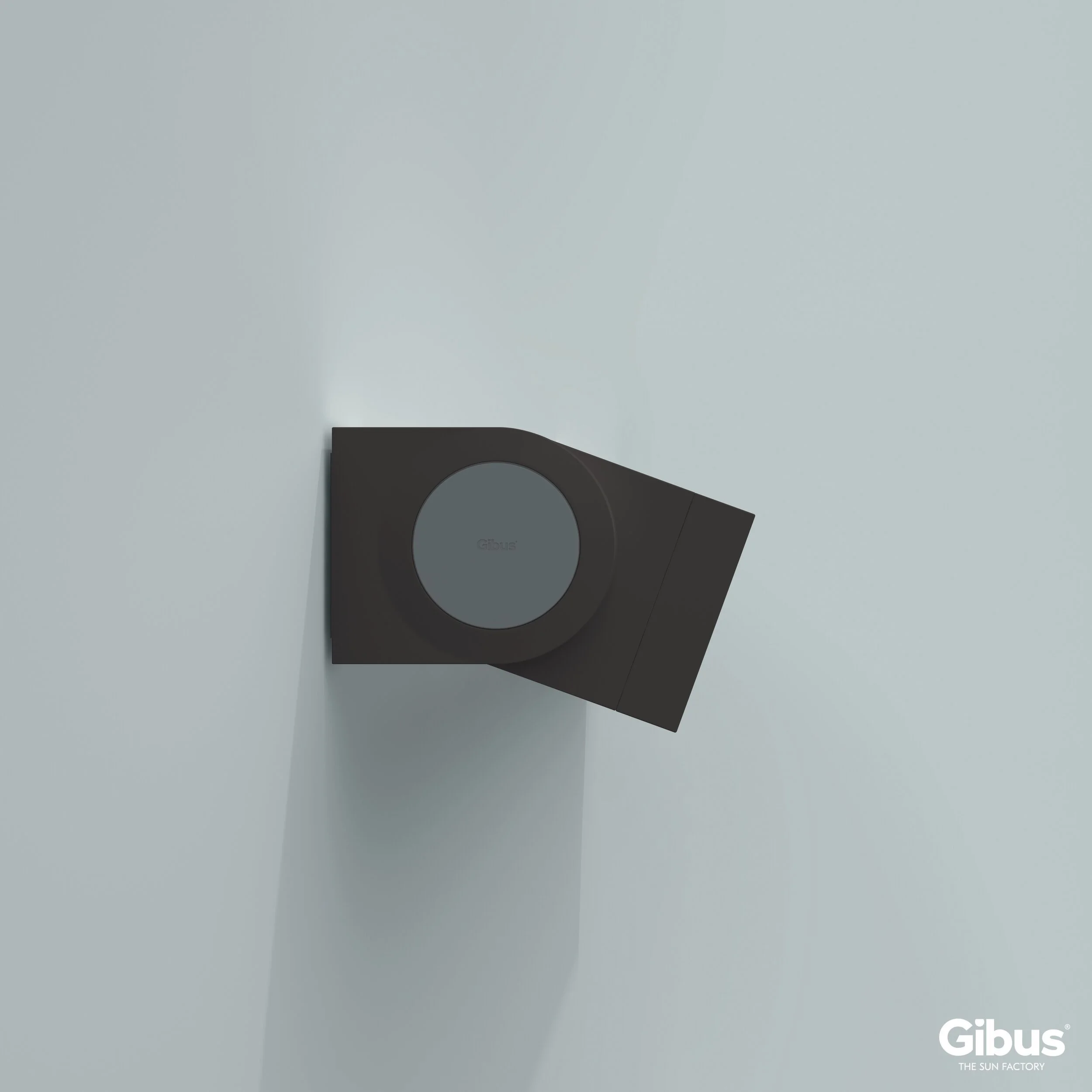 GIBUS_NODO.jpg