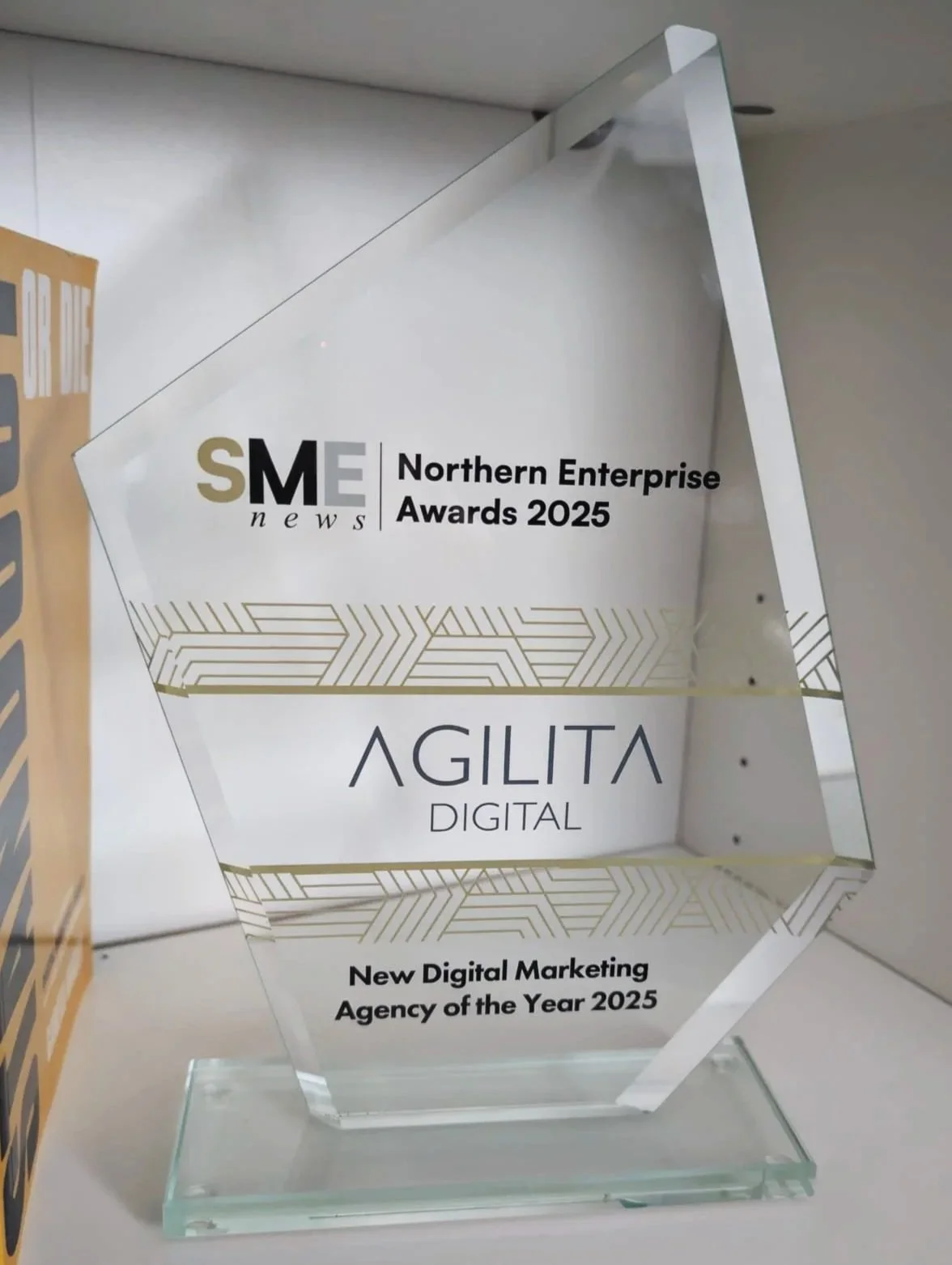 Agilita Digital Named New Digital Marketing Agency of the Year 2025.