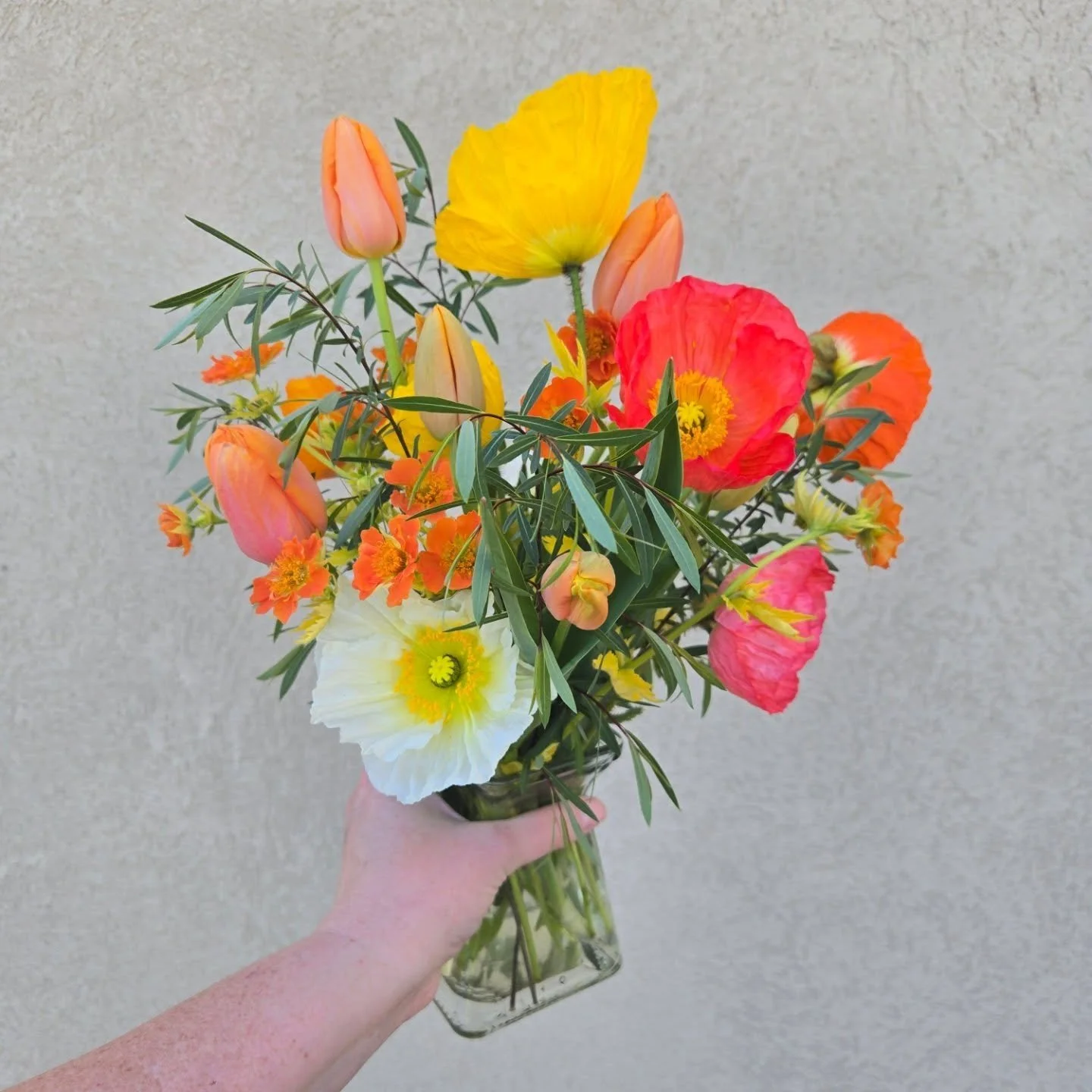 Today's order was for a birthday bouquet for someone who loves the color orange. The bright yellow, oranges, and reds are so cheerful!

Tulips, poppies, and geum, in this arrangement. It is on its way to brighten someone's day!

#localflowers #flower