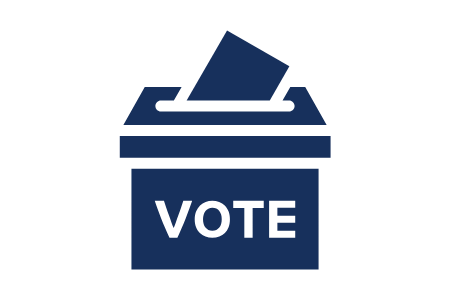 Vote Icon
