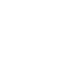 vote icon