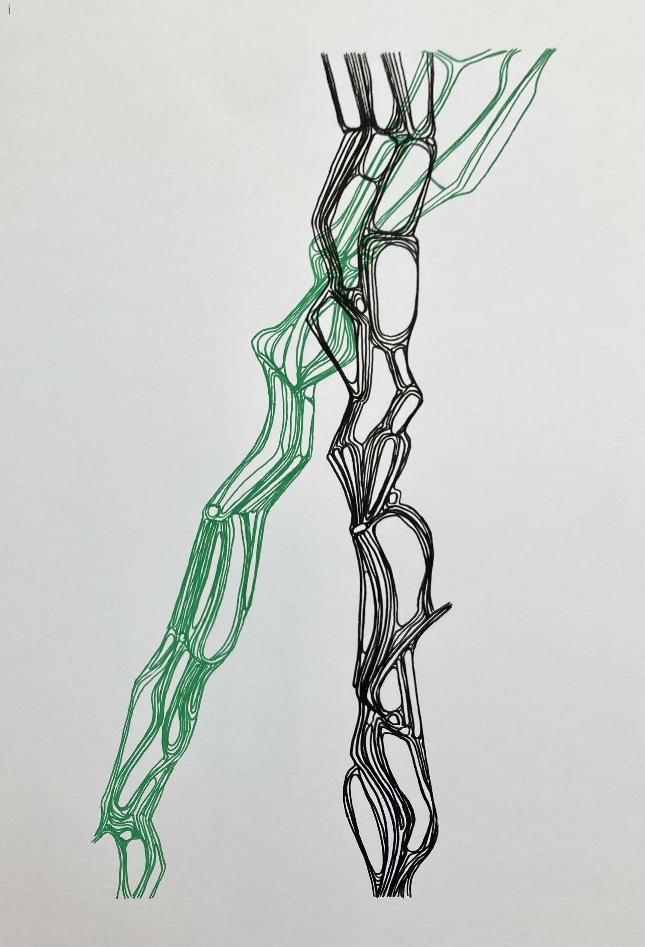 Untitled, 2026. Acrylic on paper.