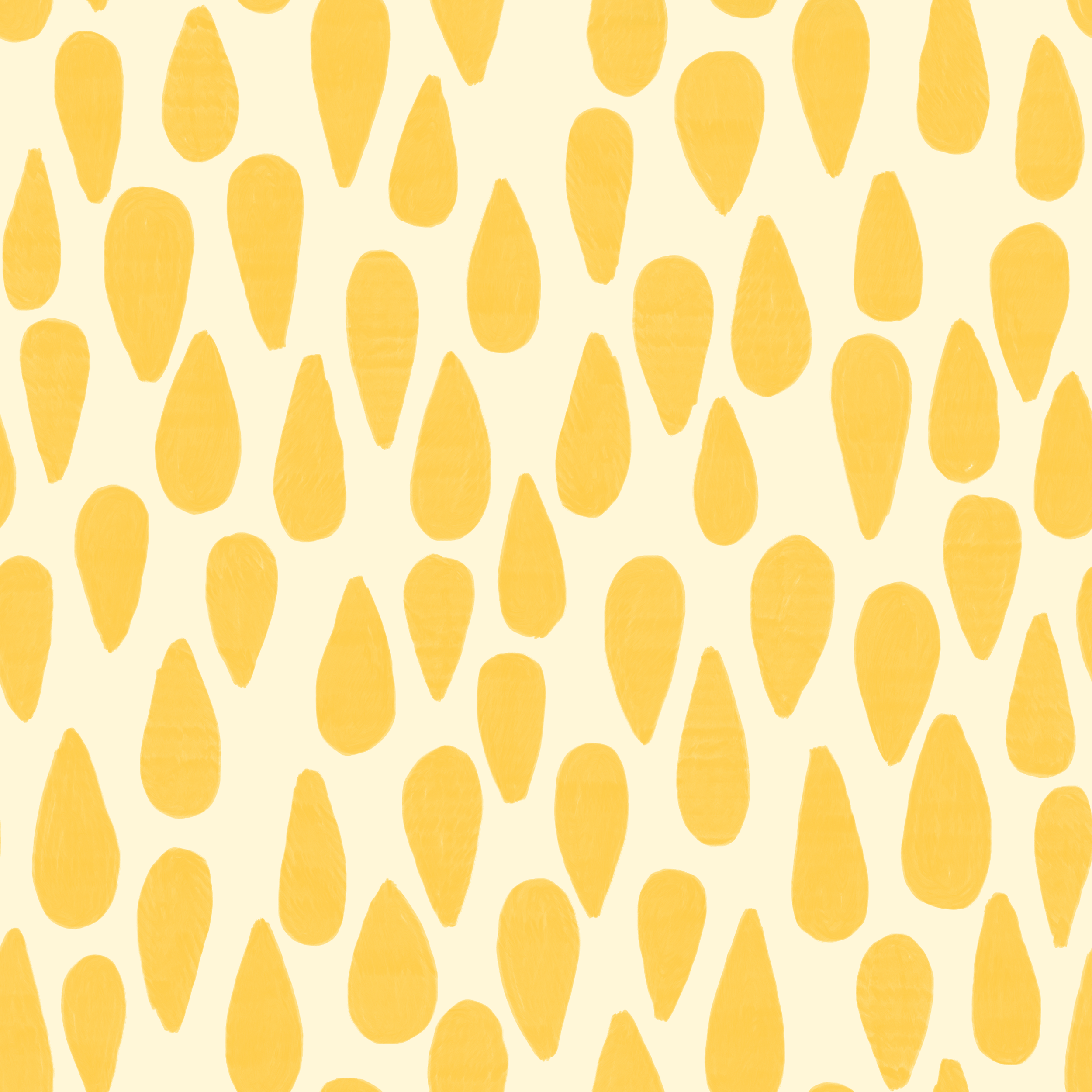 IMG_3462.png