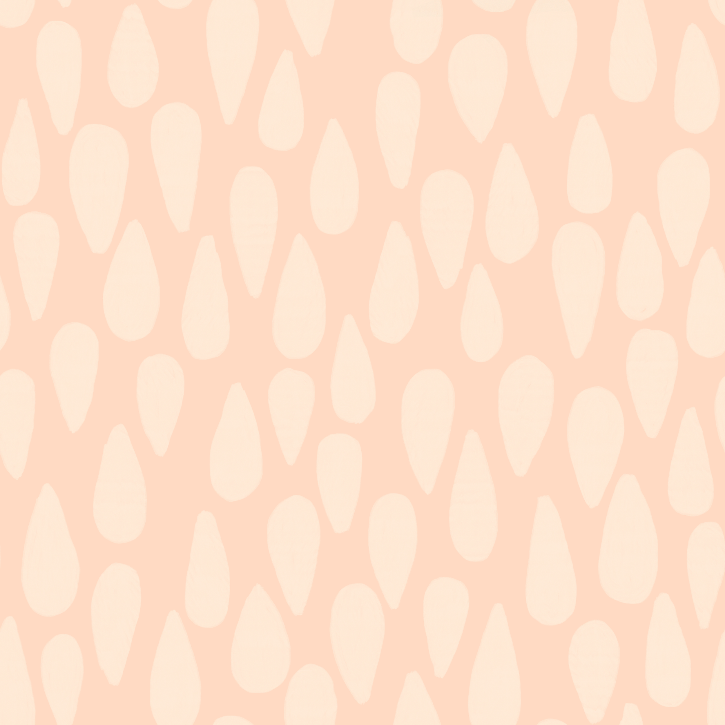 IMG_3456.png