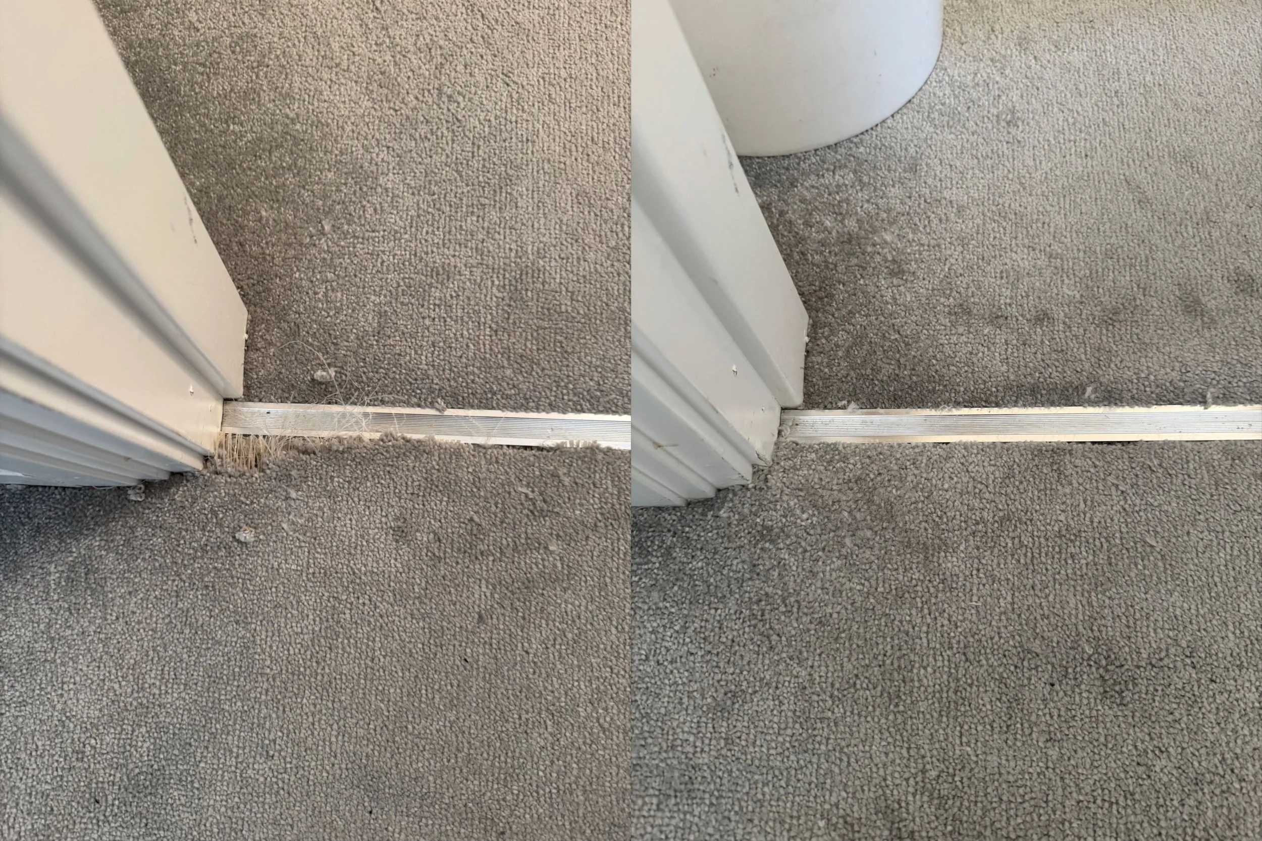 Professional results on a pet damage carpet repair in Bolton