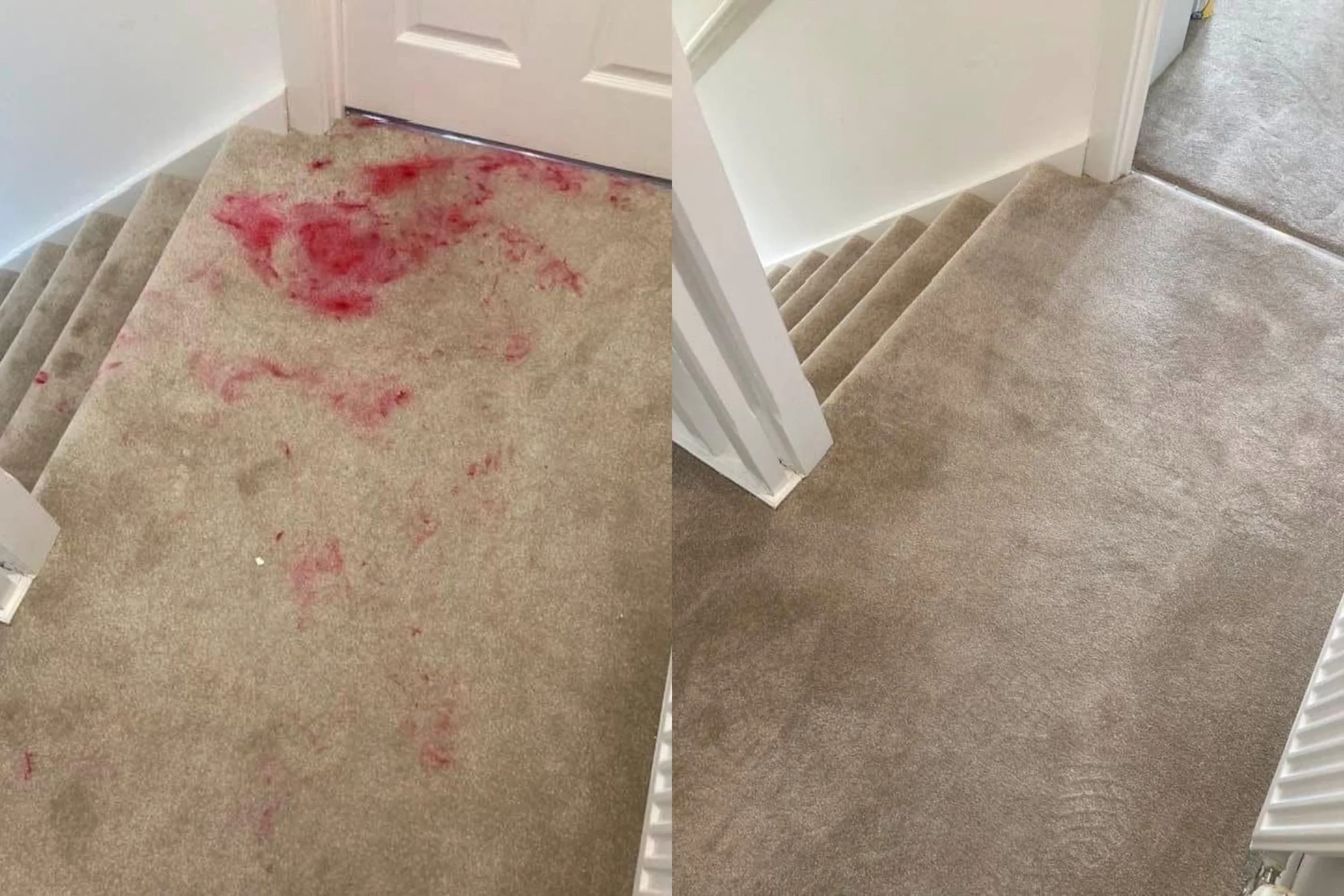 advanced-stain-removal-carpet-service.jpeg