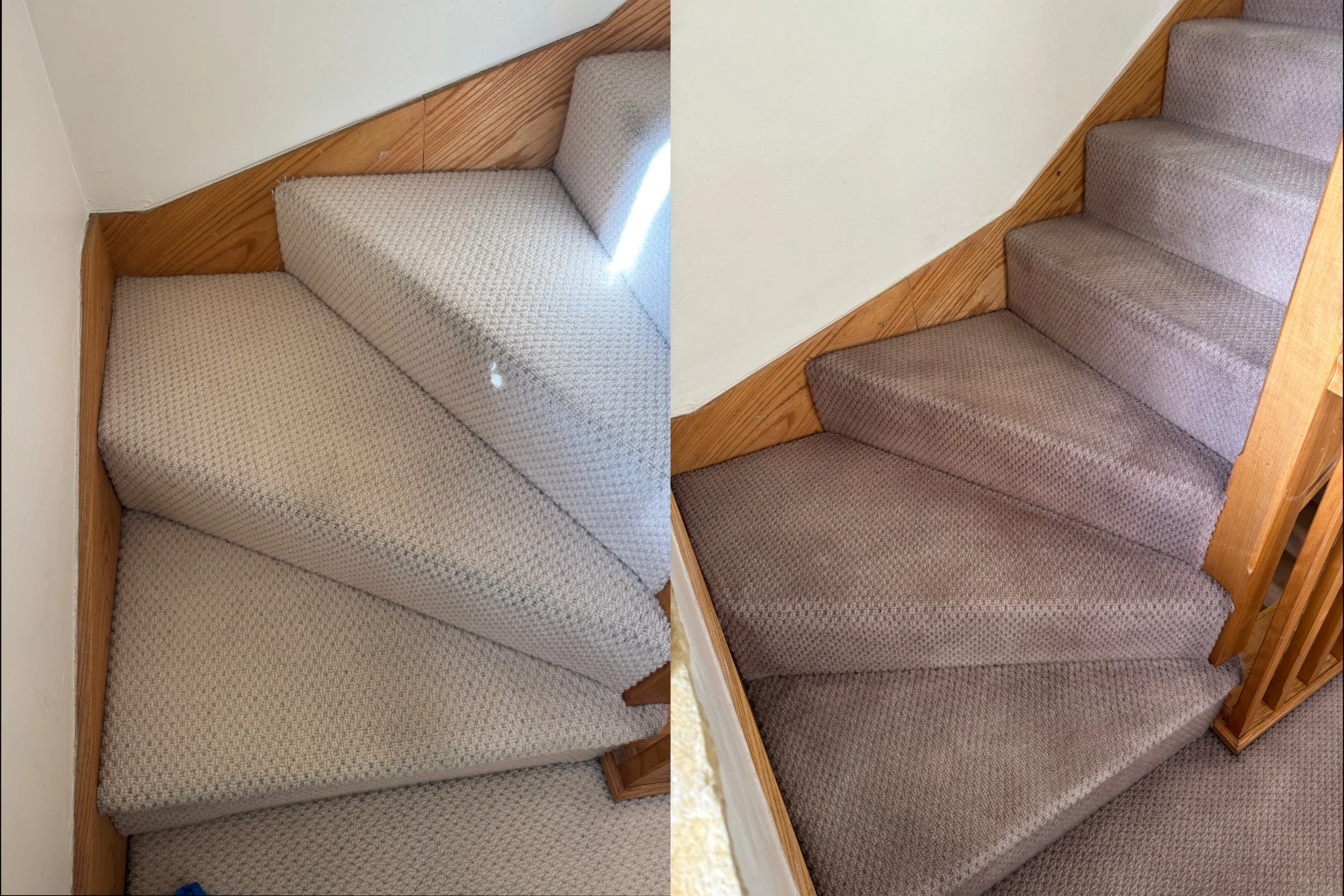 Professional carpet re-colouring to custom colour in Warrington.