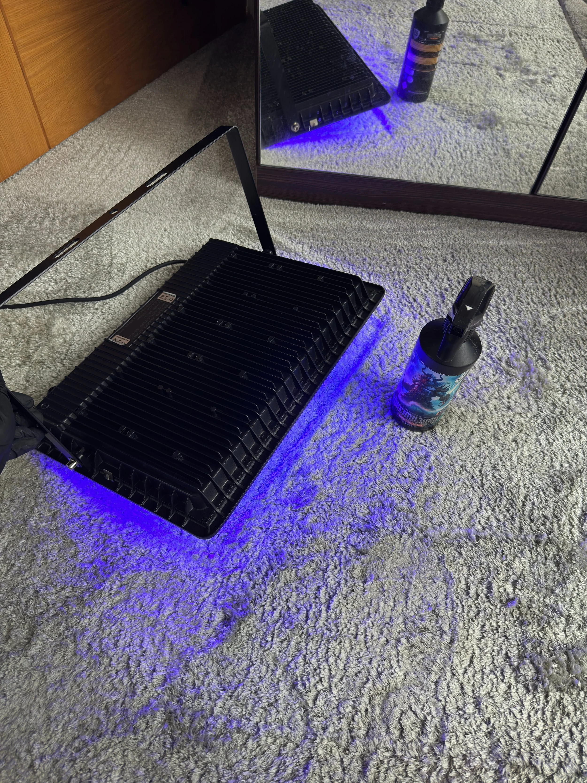 Professional carpet advanced stain removal Preston service
