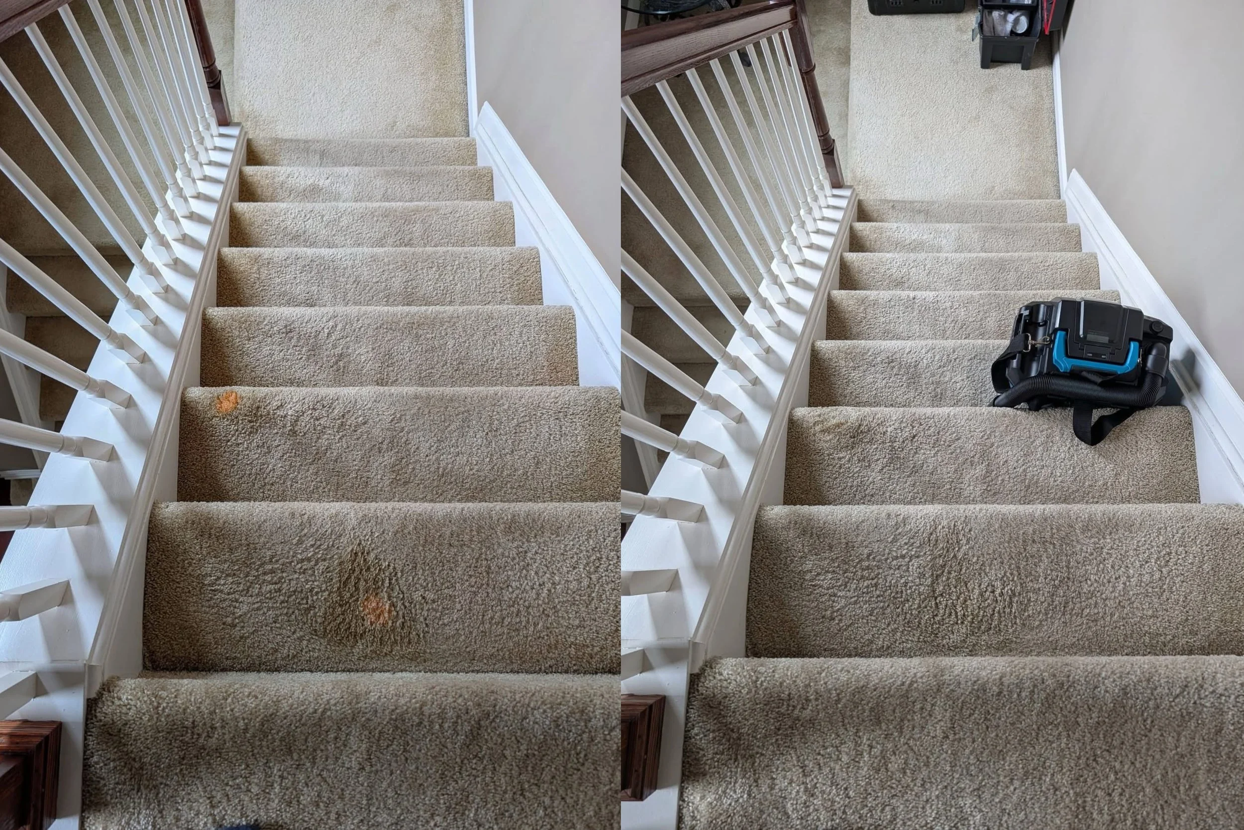 Bleached carpet professionally dyed in Chorley home