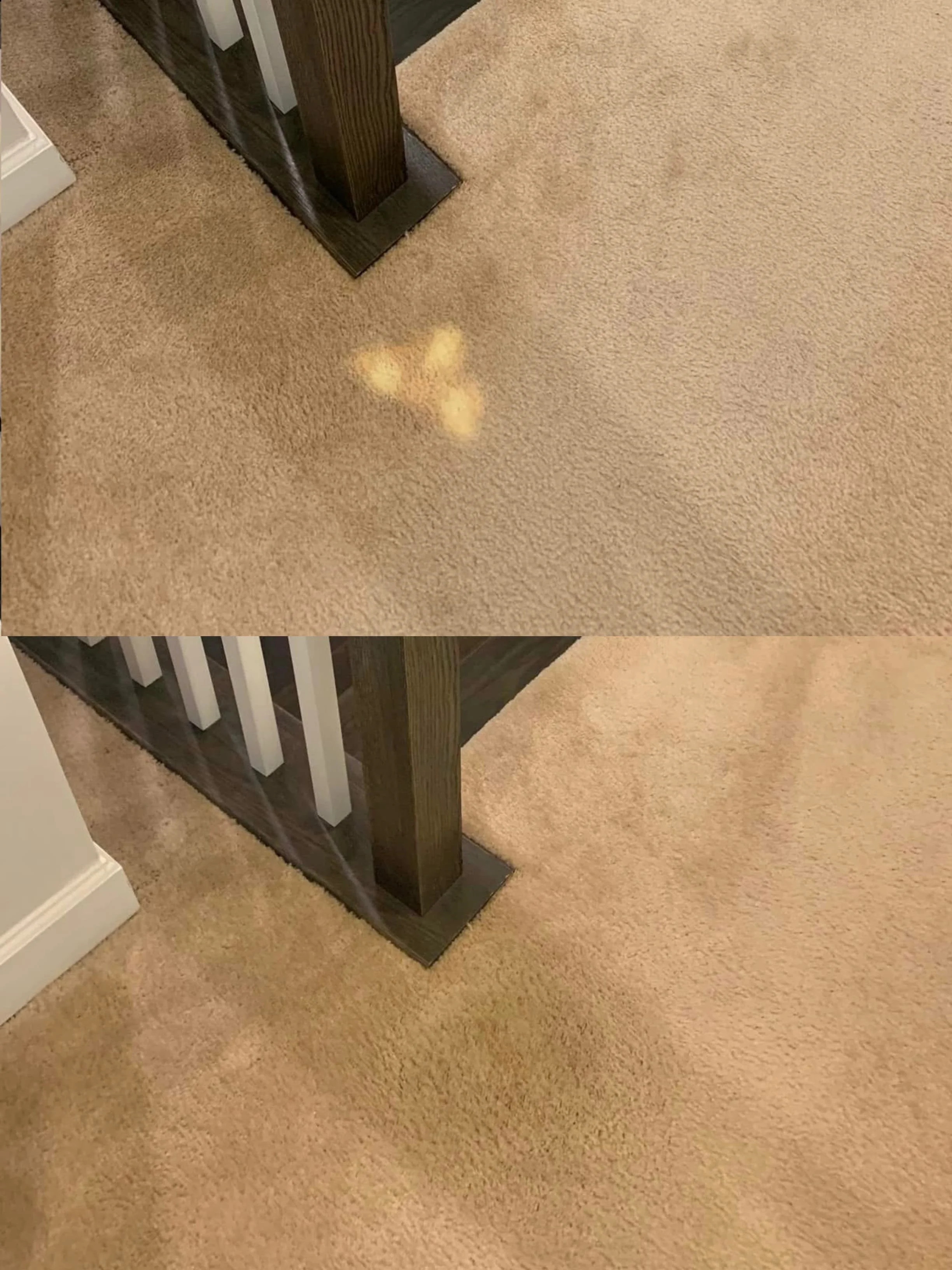 Professional carpet bleach spot repair with expert colour matching for seamless results.