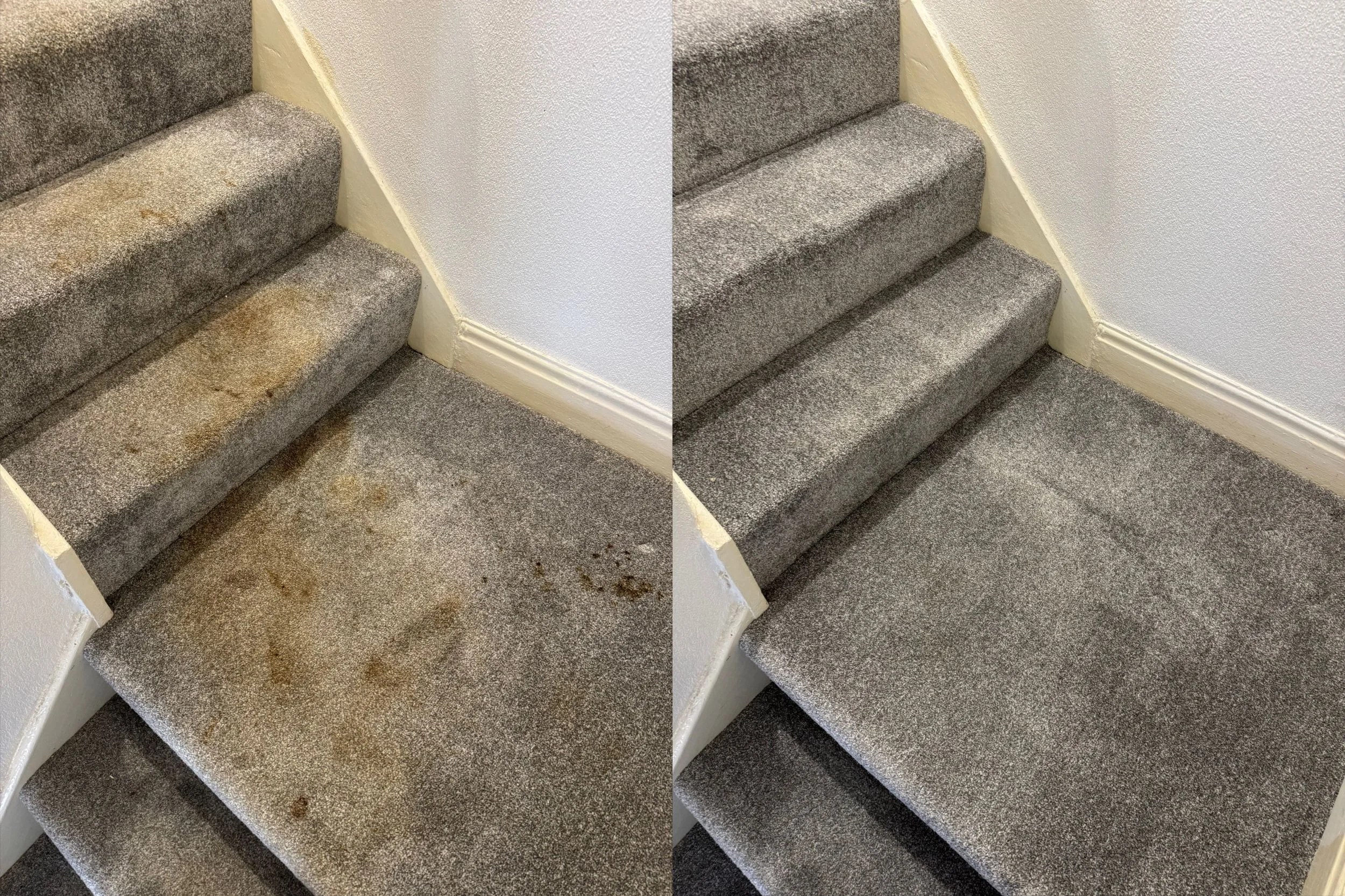 carpet-smell-removal-pet-stains-preston.jpeg