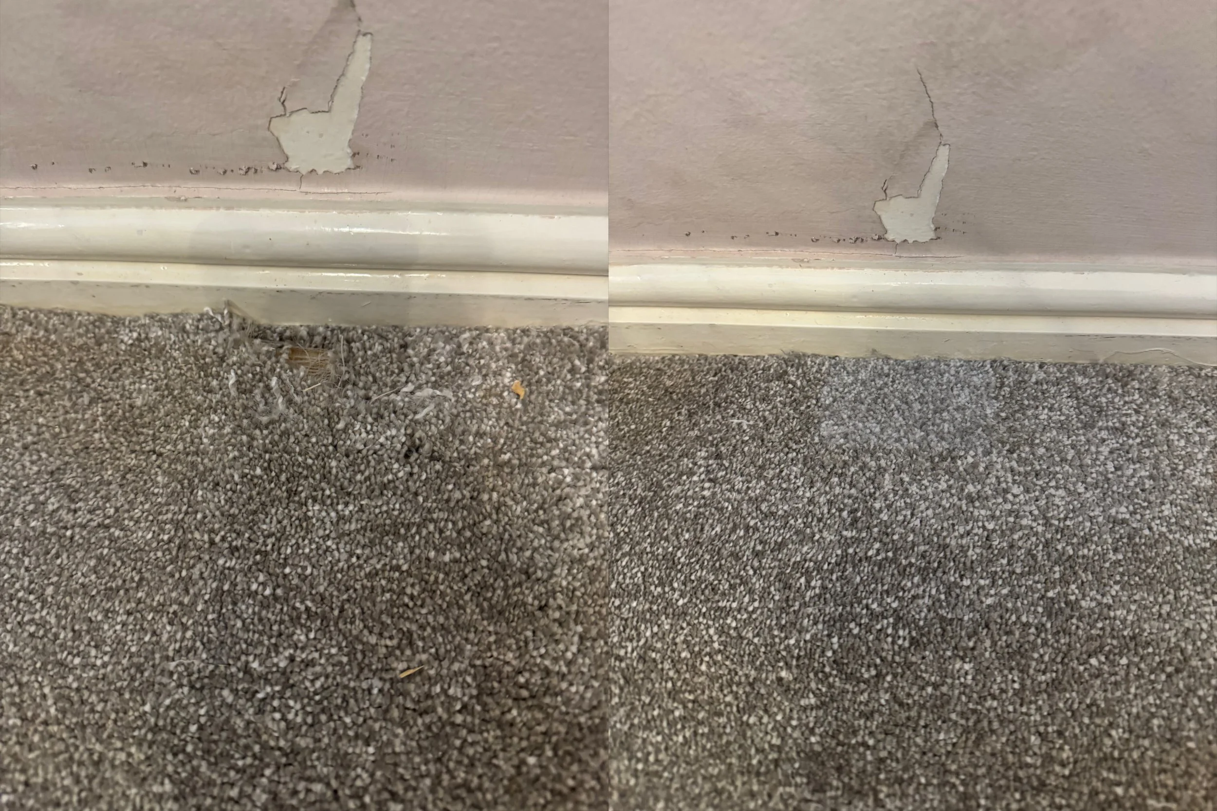 Professional results on a pet damage carpet repair in Lancaster