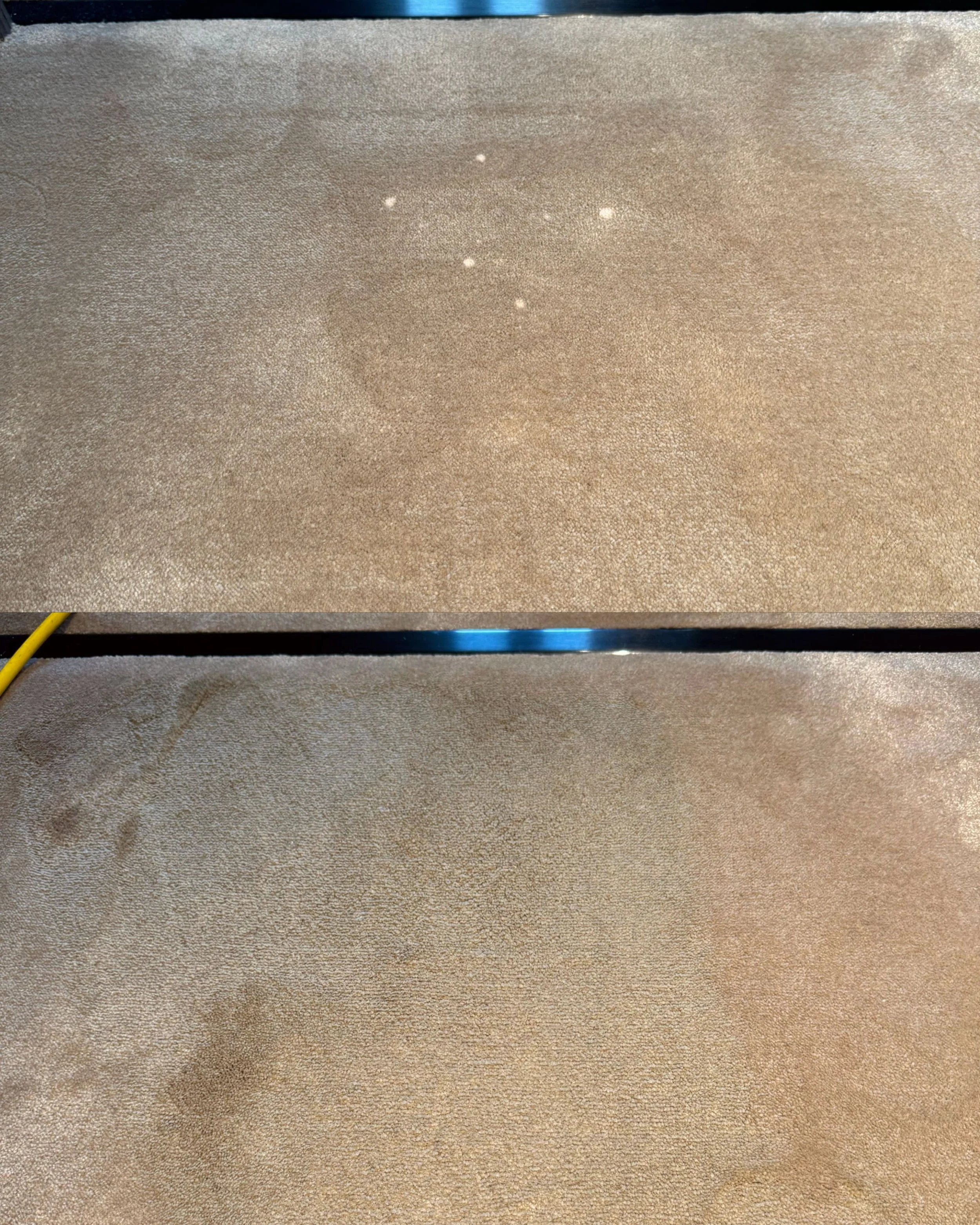 Professional carpet bleach spot repair with expert colour matching for seamless results.