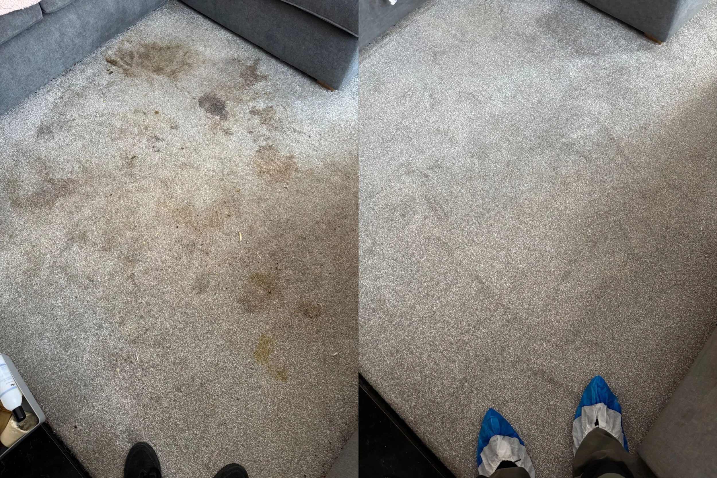 pet-urine-carpet-cleaning-before-after-preston.jpeg