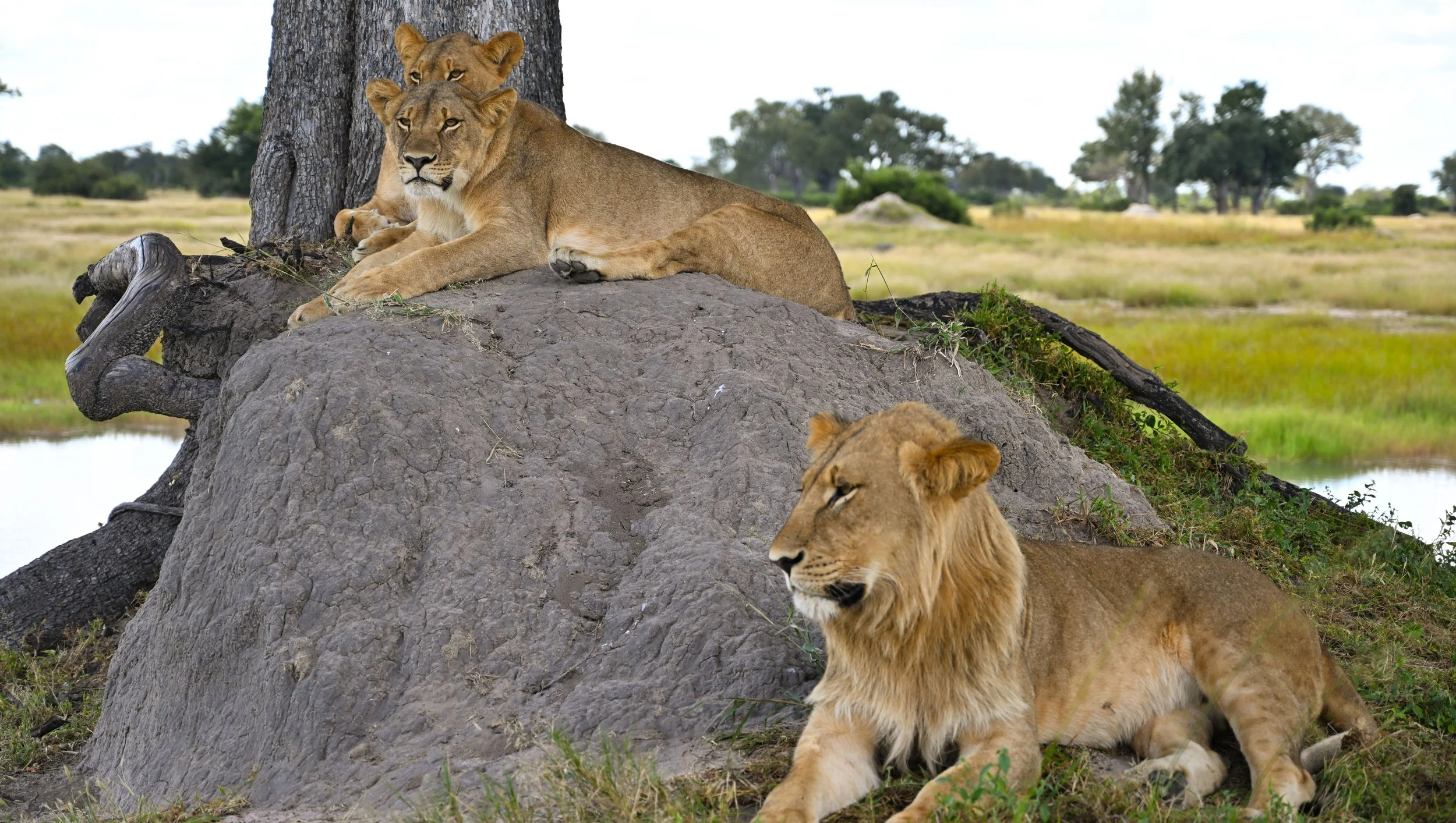 DSC_0649.jpg