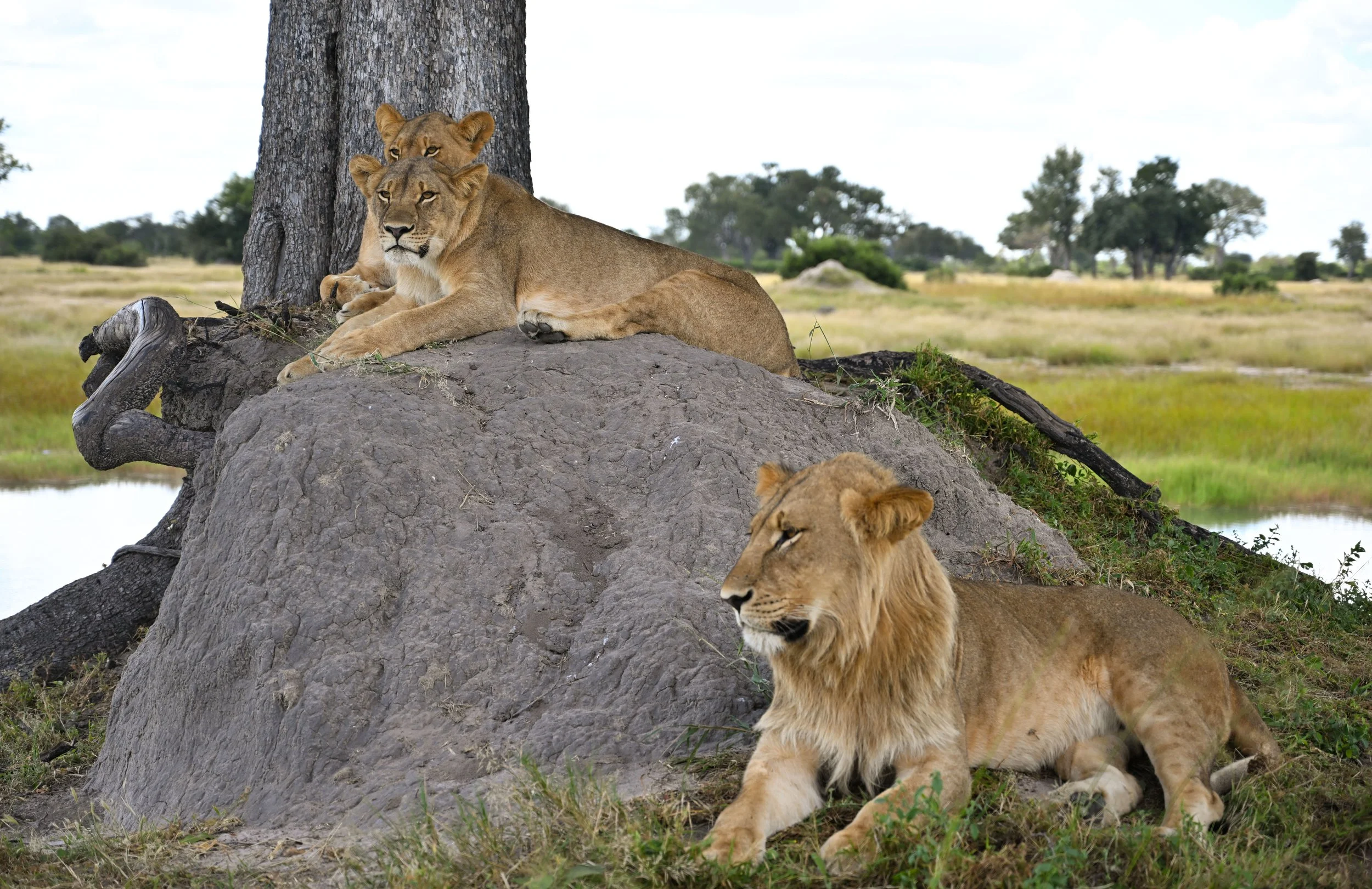 DSC_0649.jpg
