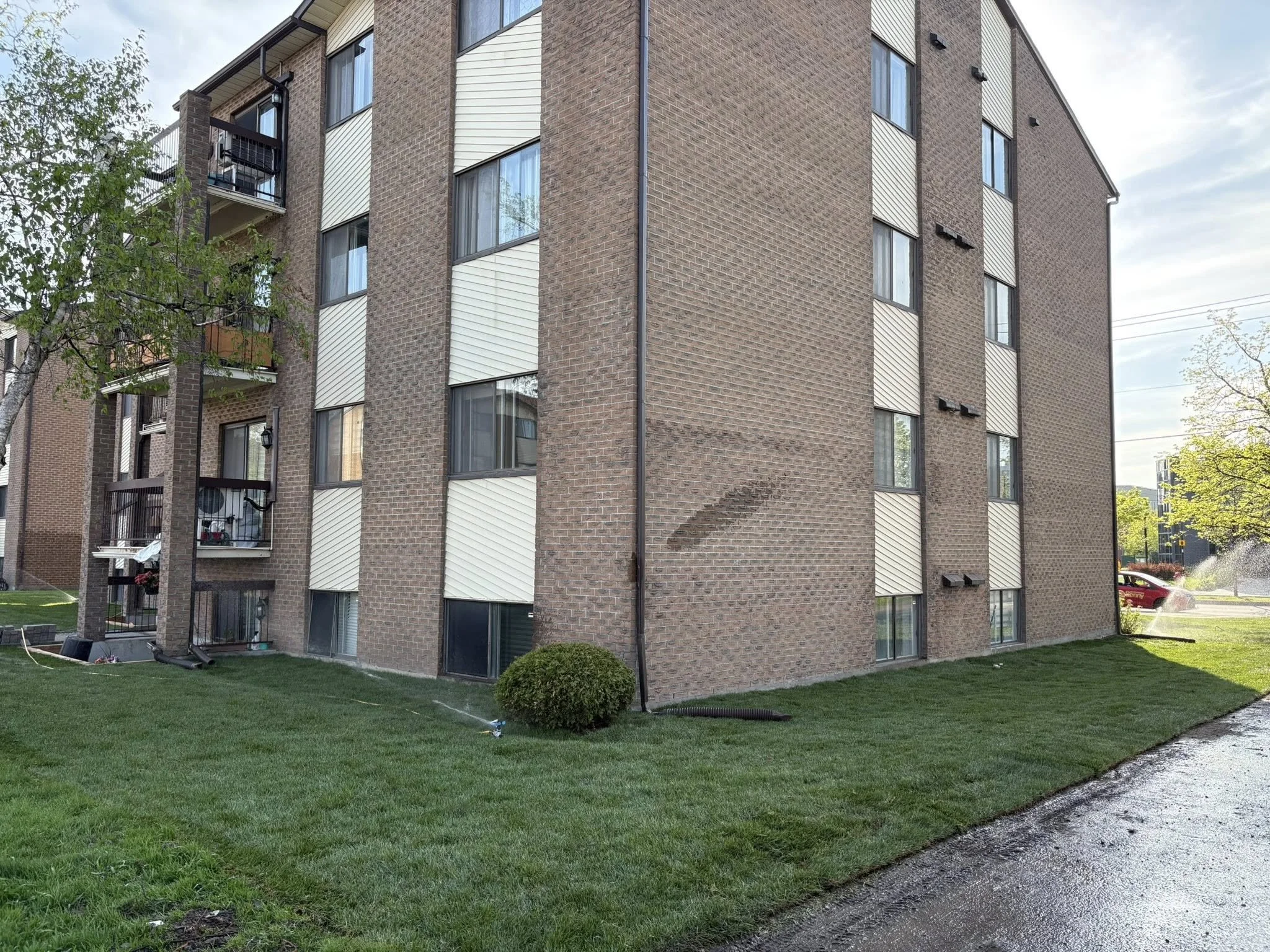 Installation de gazon en plaques ou ensemencement