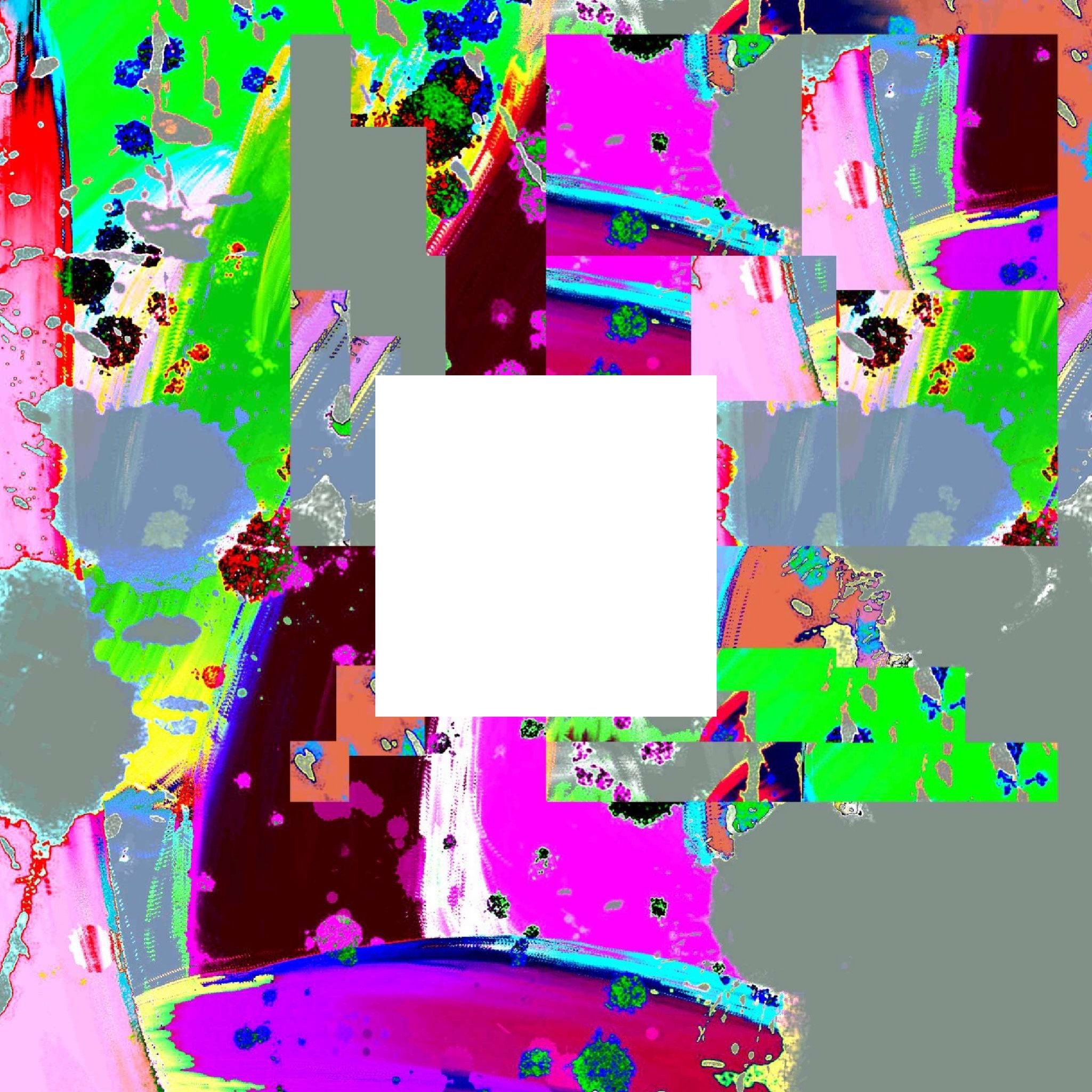 IMG_2424.jpeg