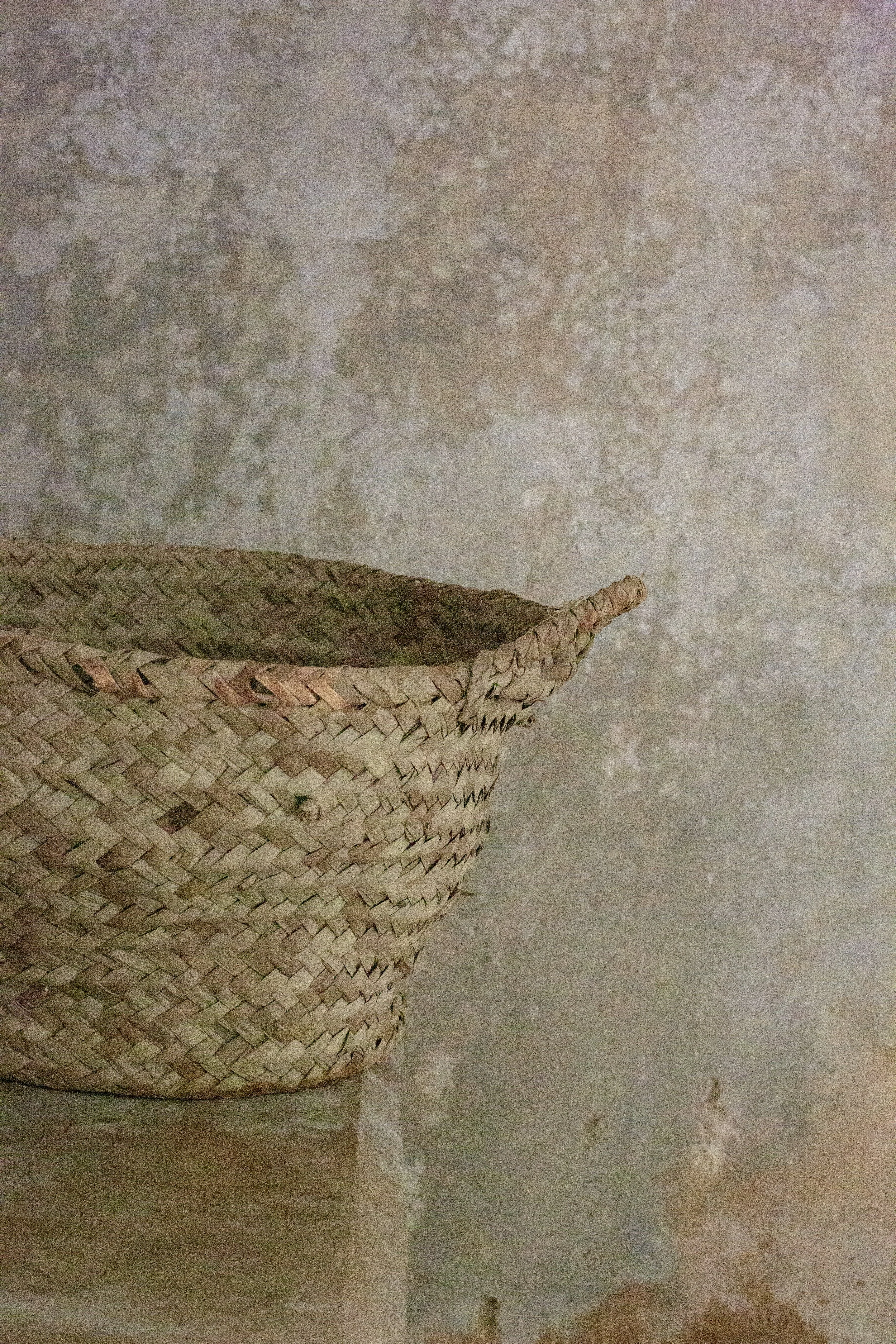 584A6560.jpg
